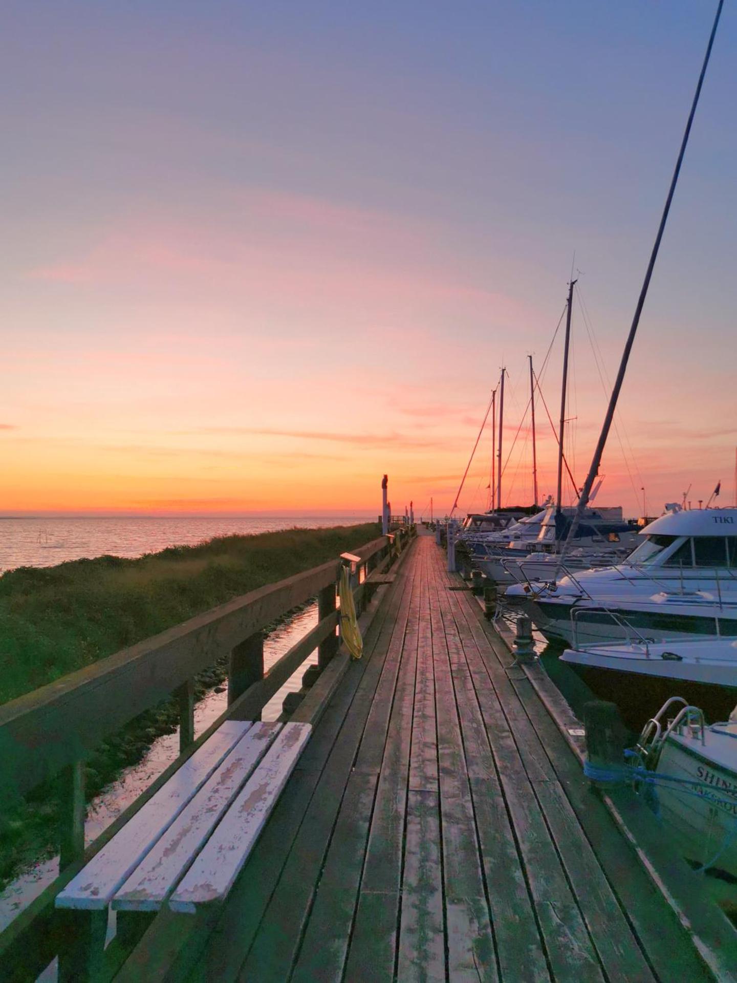 TheGilgahouse gardenroom