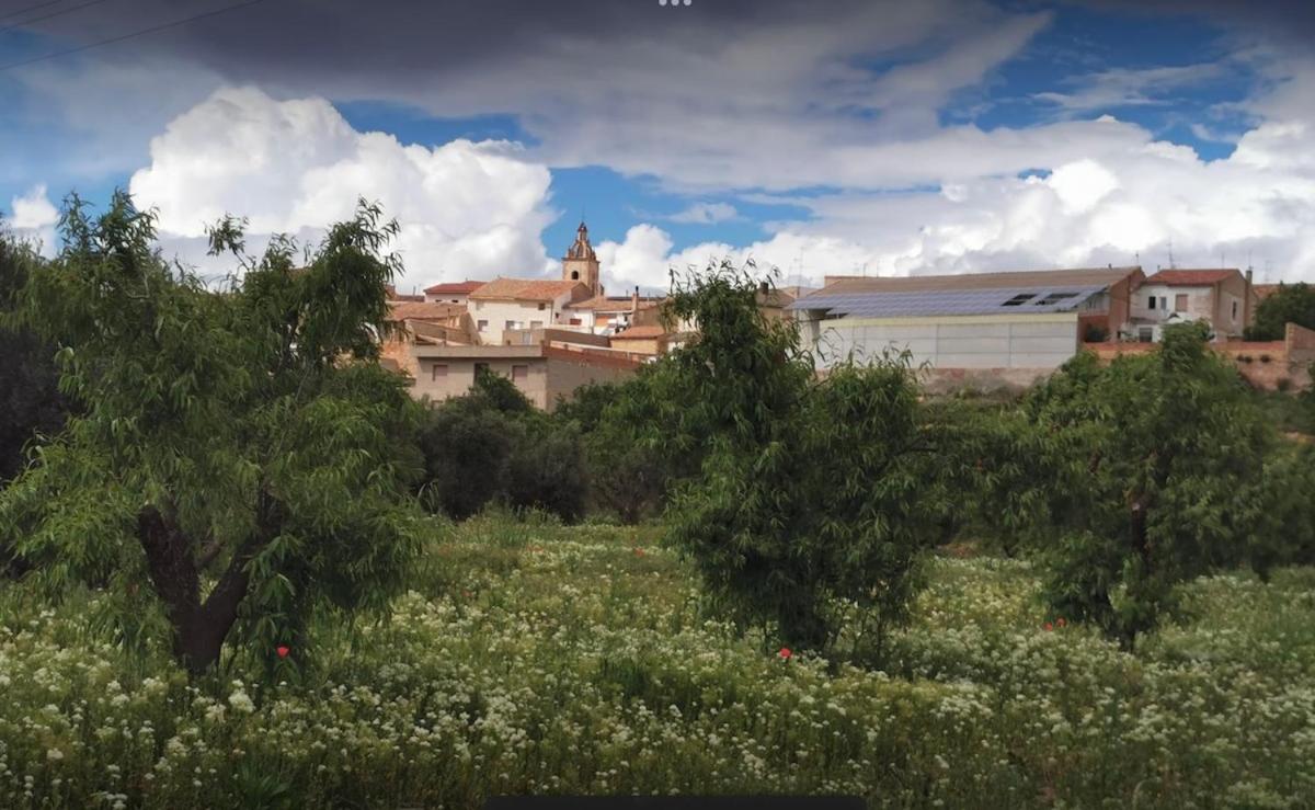 Casa Aurora, mi aldea ,entre viñas y almendros