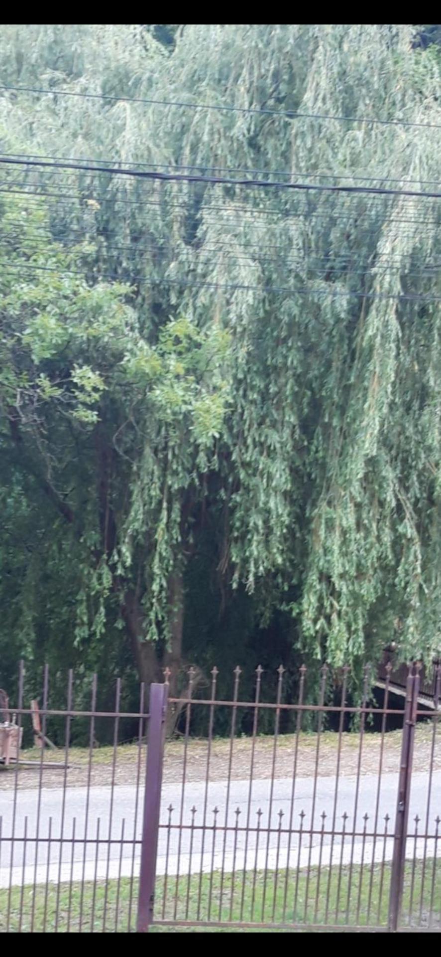 PENSIUNEA ANA Transalpina