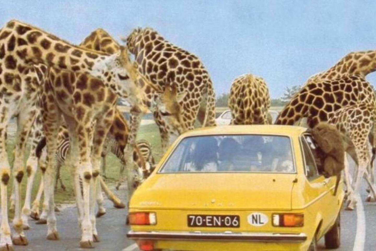 3P comfortable apt next to Fontys in citycenter