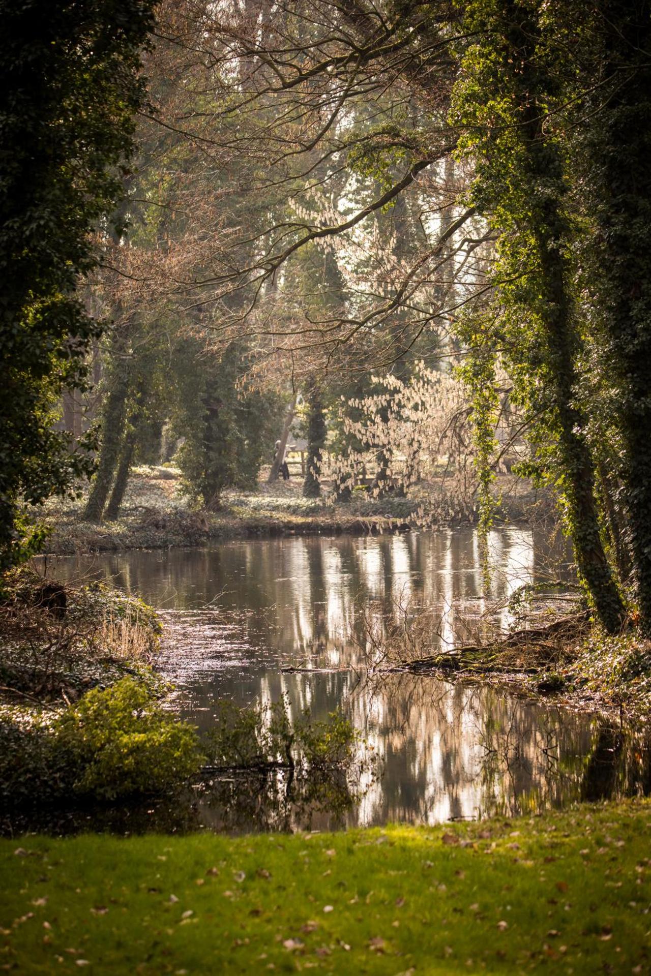 Apartment am Schlosspark