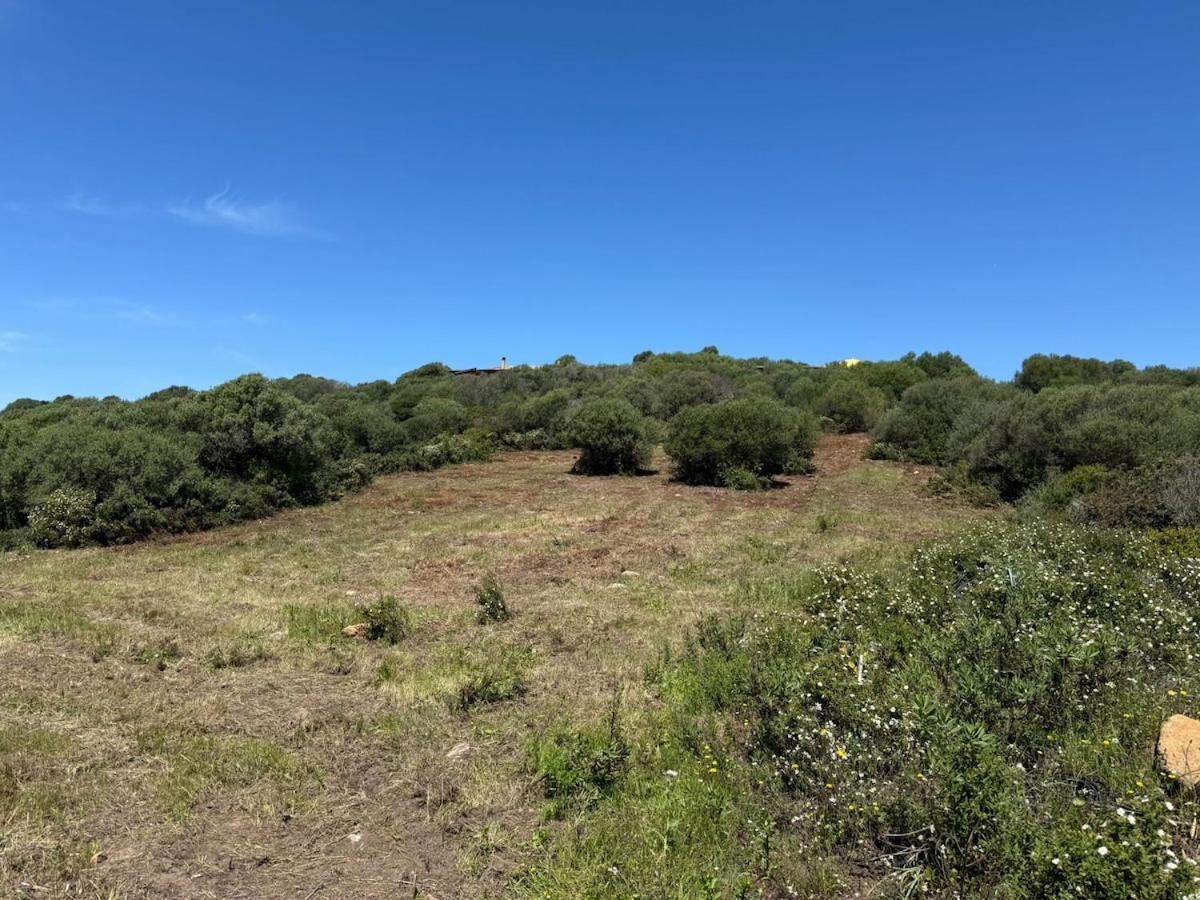 Casa Golfo Asinara,Ocean view, private pool, fully air-conditioned, secluded location