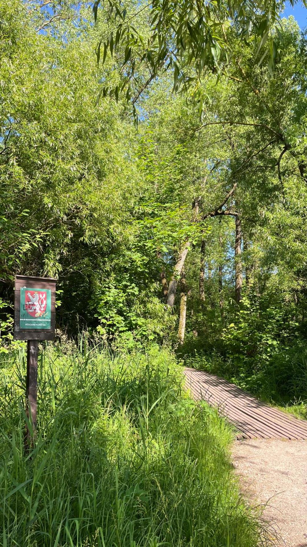 Apartmán Any Vrchlabí