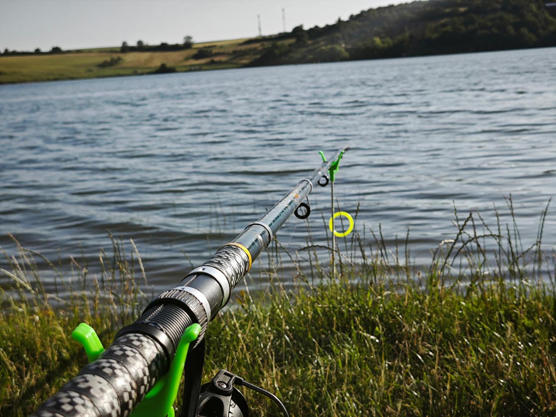 The Wooden Nest -Covasna