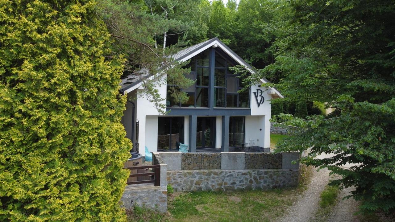 Vila Blanc Valiug Crivaia