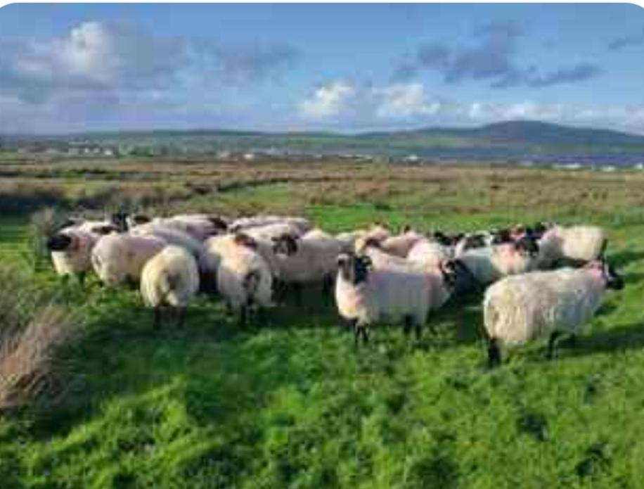 Lomonagh Lodge Portmagee