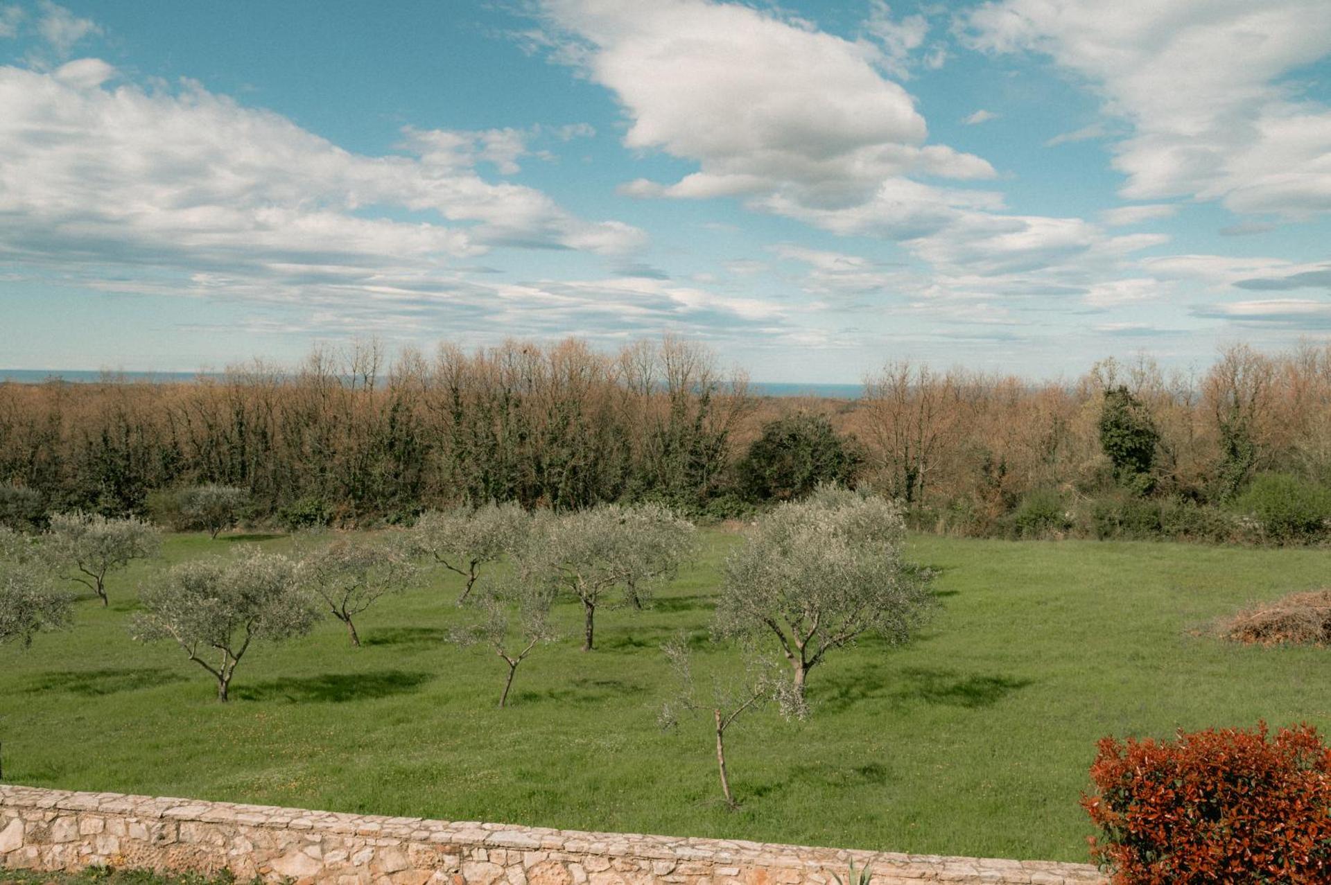 Villa Olivetta by Istrian Country Houses