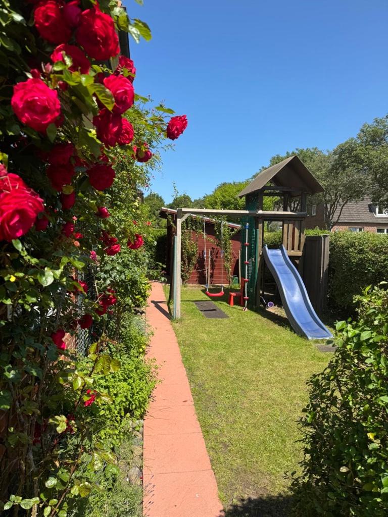 Children play ground