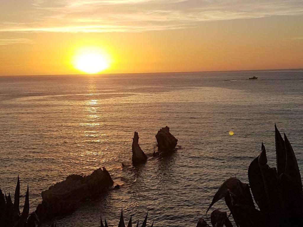 Terra Sinus Beautiful Suite