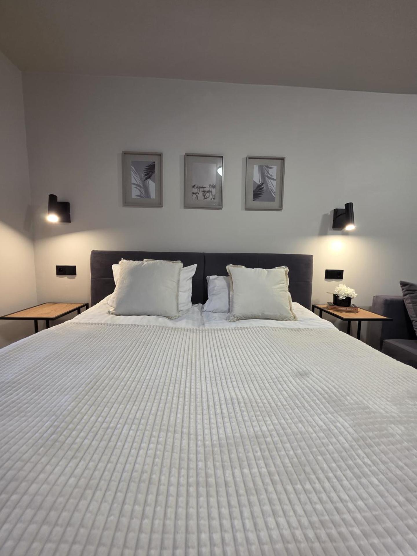 King Studio with Sofa Bed