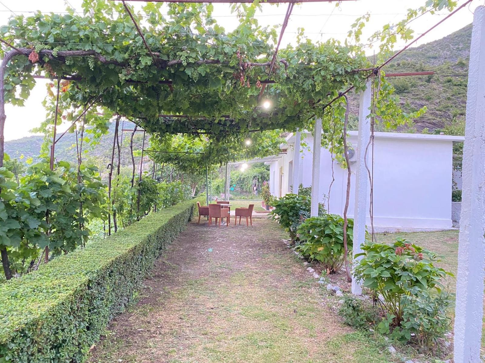 Guesthouse Camping the peaceful of Koman