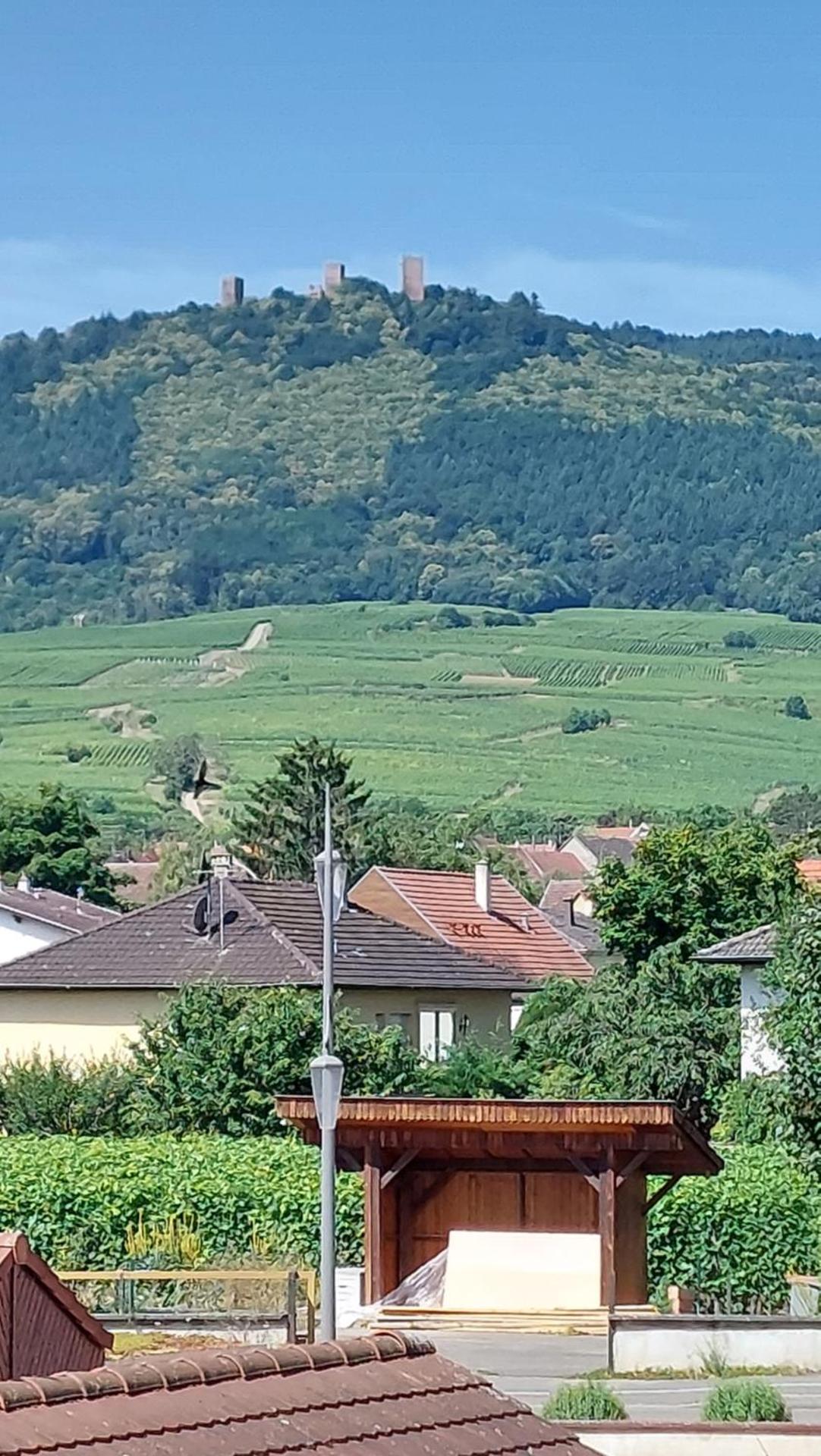 View (from property/room)