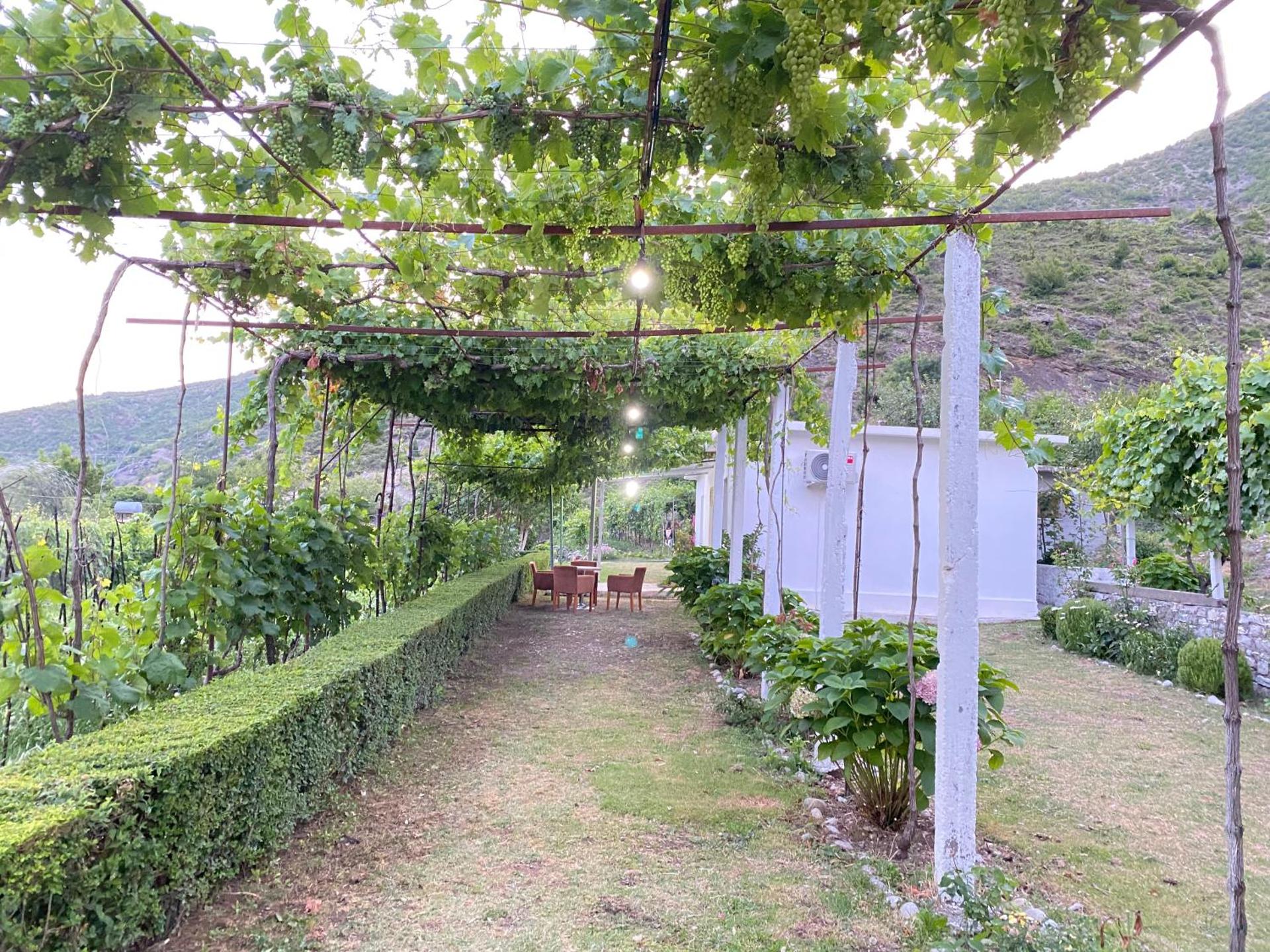 Guesthouse Camping the peaceful of Koman