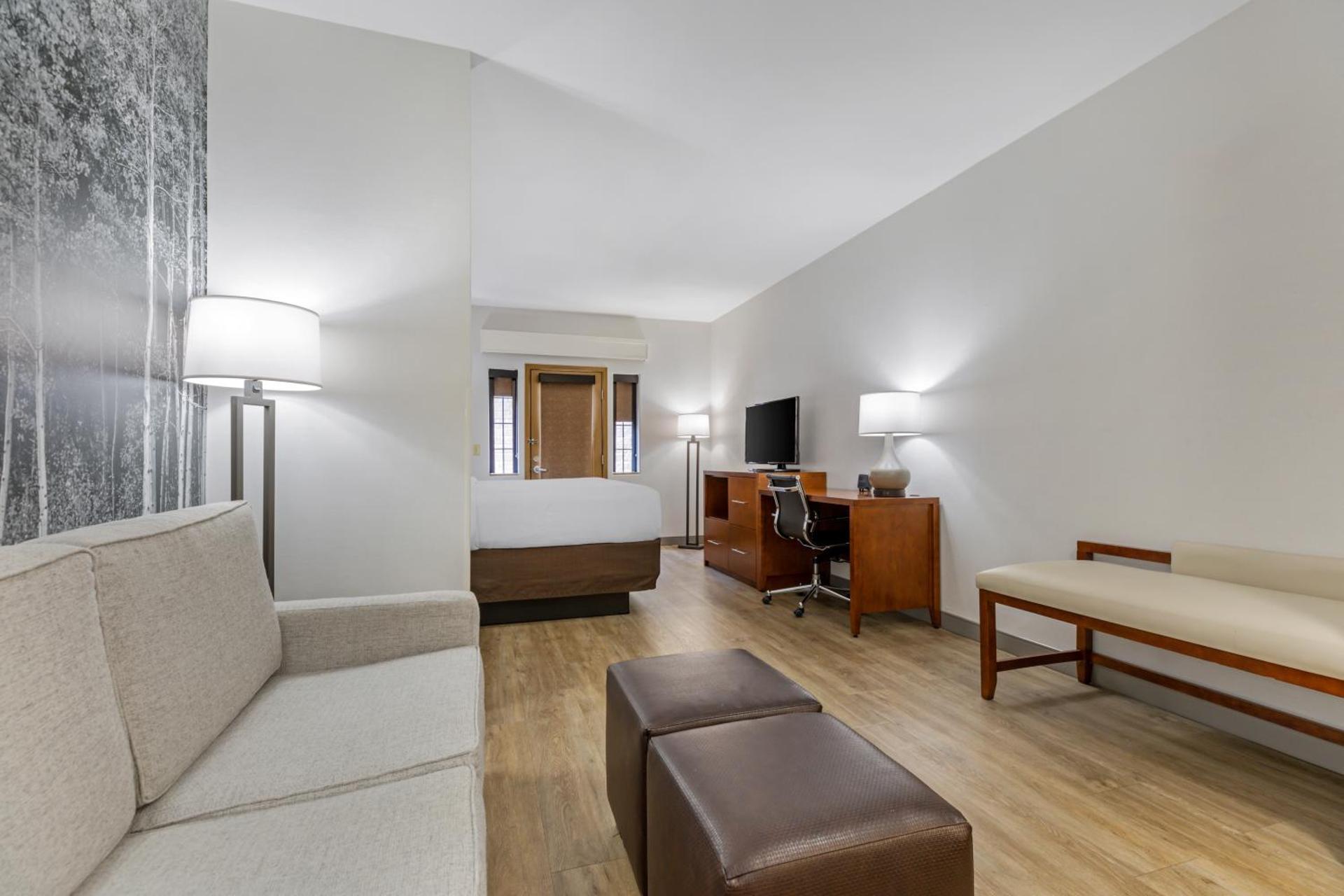 King Suite with Sofa Bed - Non-Smoking/Pet Friendly