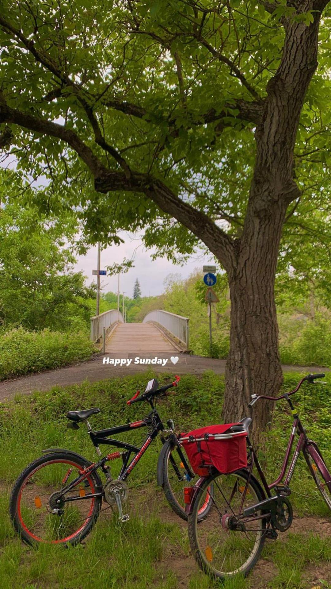 Homindays Terrace with Mountain Views River just Nearby