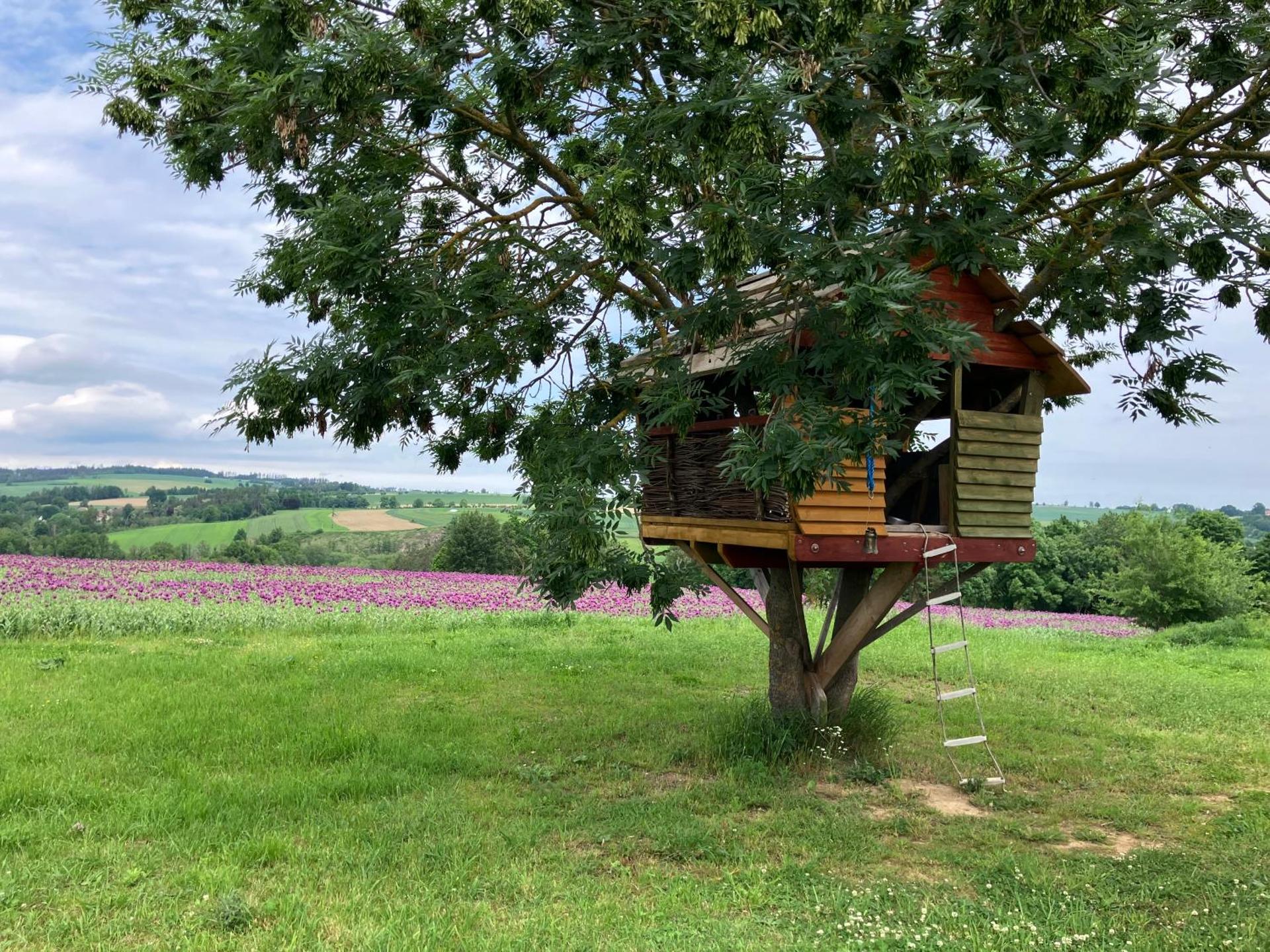 Usedlost Horka Onšov