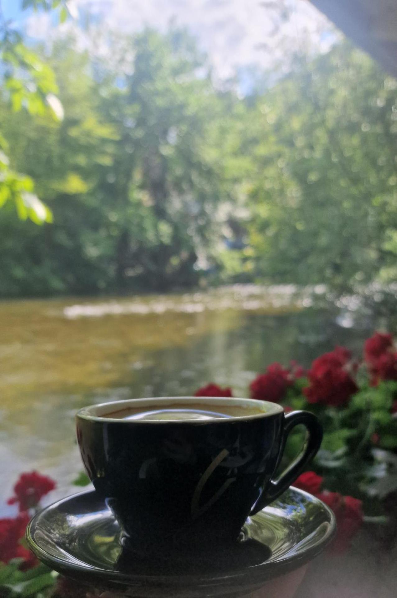Pensiunea Casa Dimitrios-Baile Herculane -Casă Boemă cu vedere la munte apă atmosferă intimă