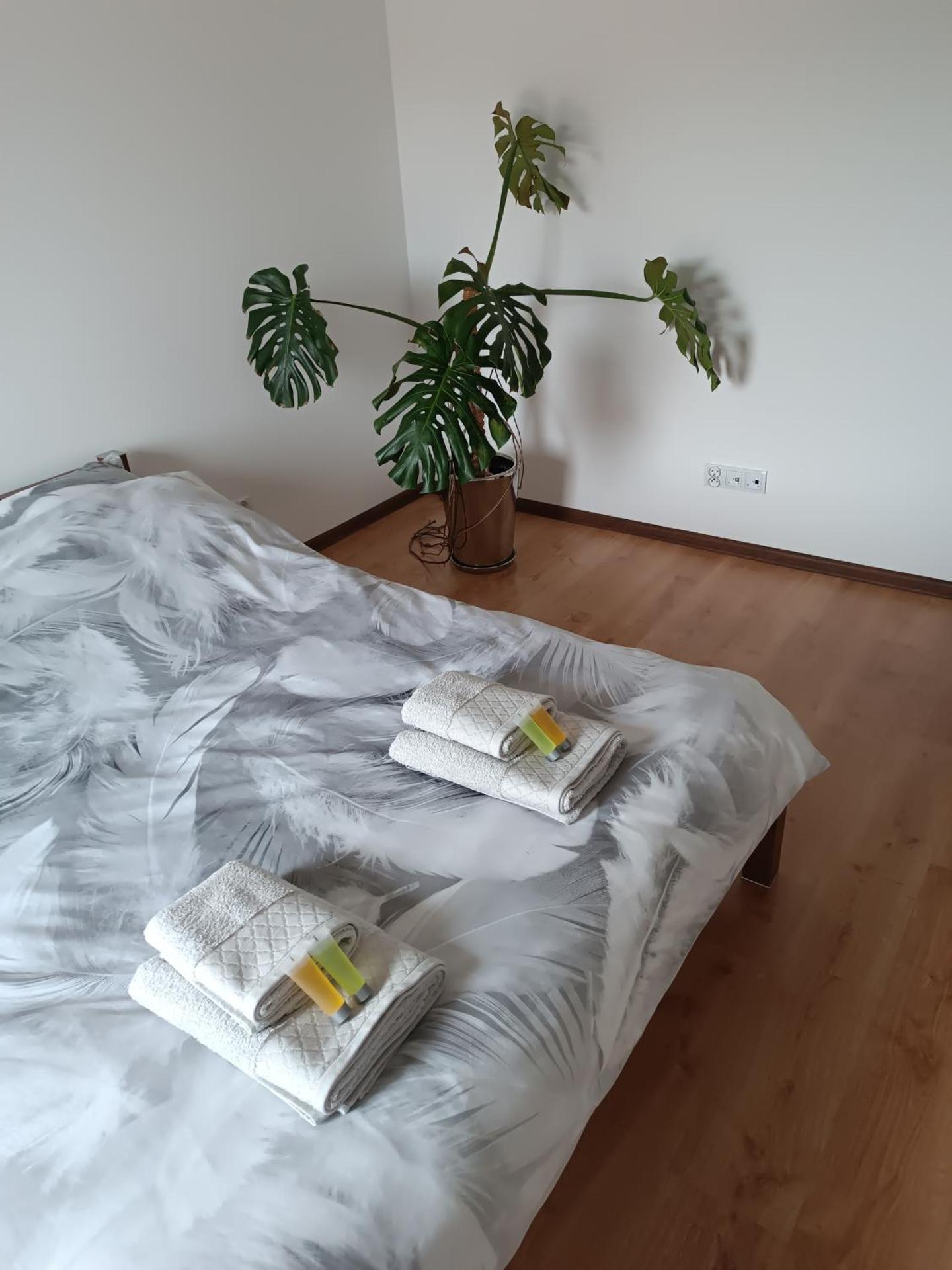 Apartament Kwiatowa