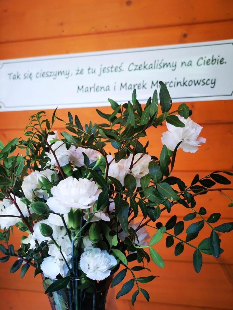 Pensjonat Alpejski Dwór