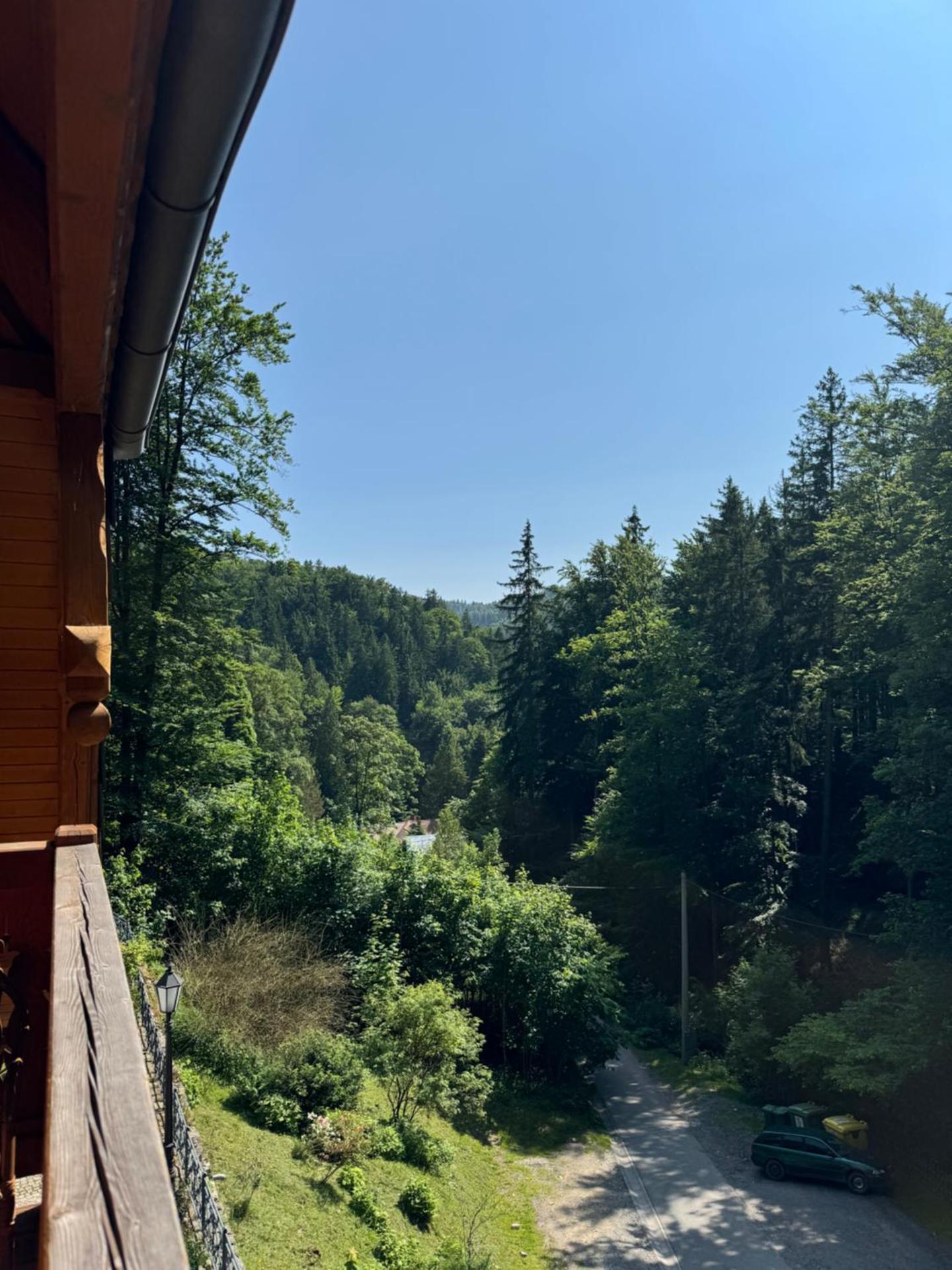 Pensjonat Alpejski Dwór