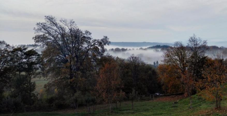 Zemědělská Usedlost Albrechtice