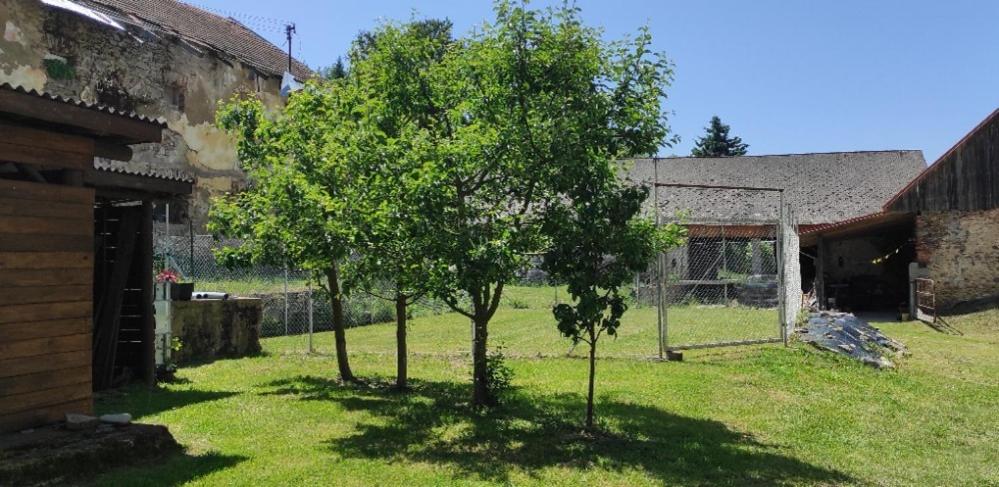 Zemědělská Usedlost Albrechtice