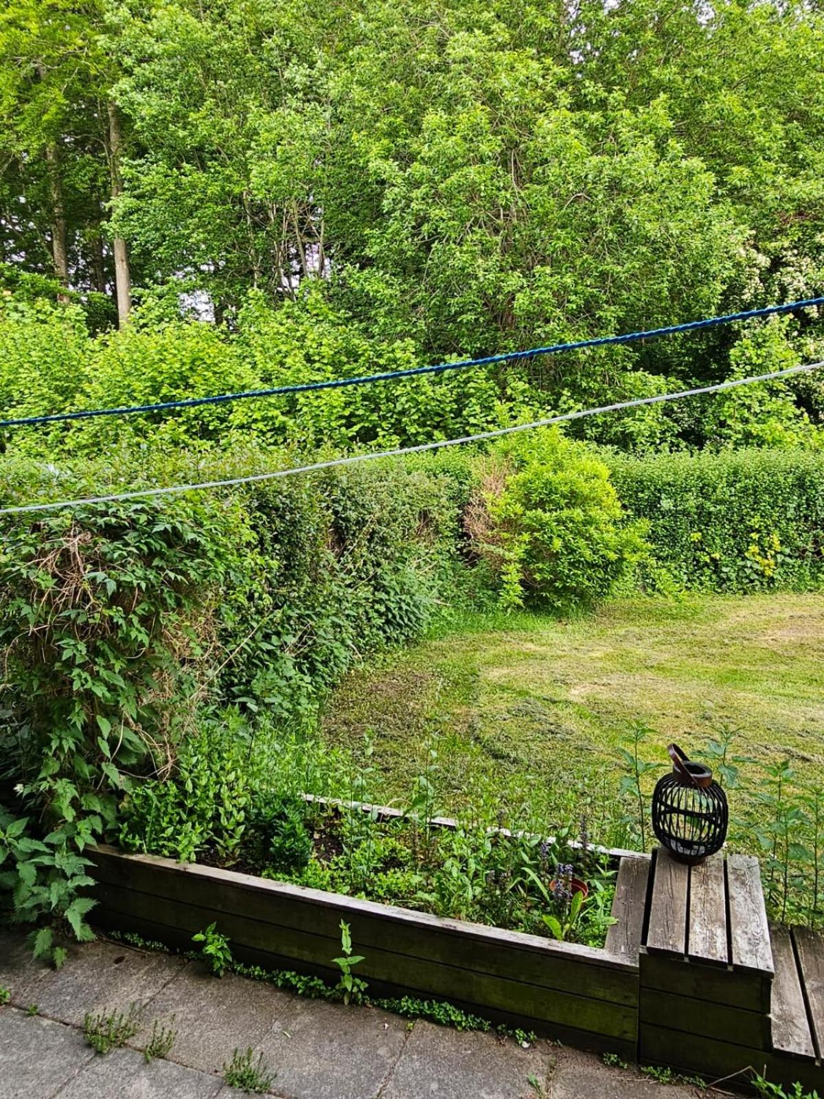 Cozy apartment Älmhult mocklen lake