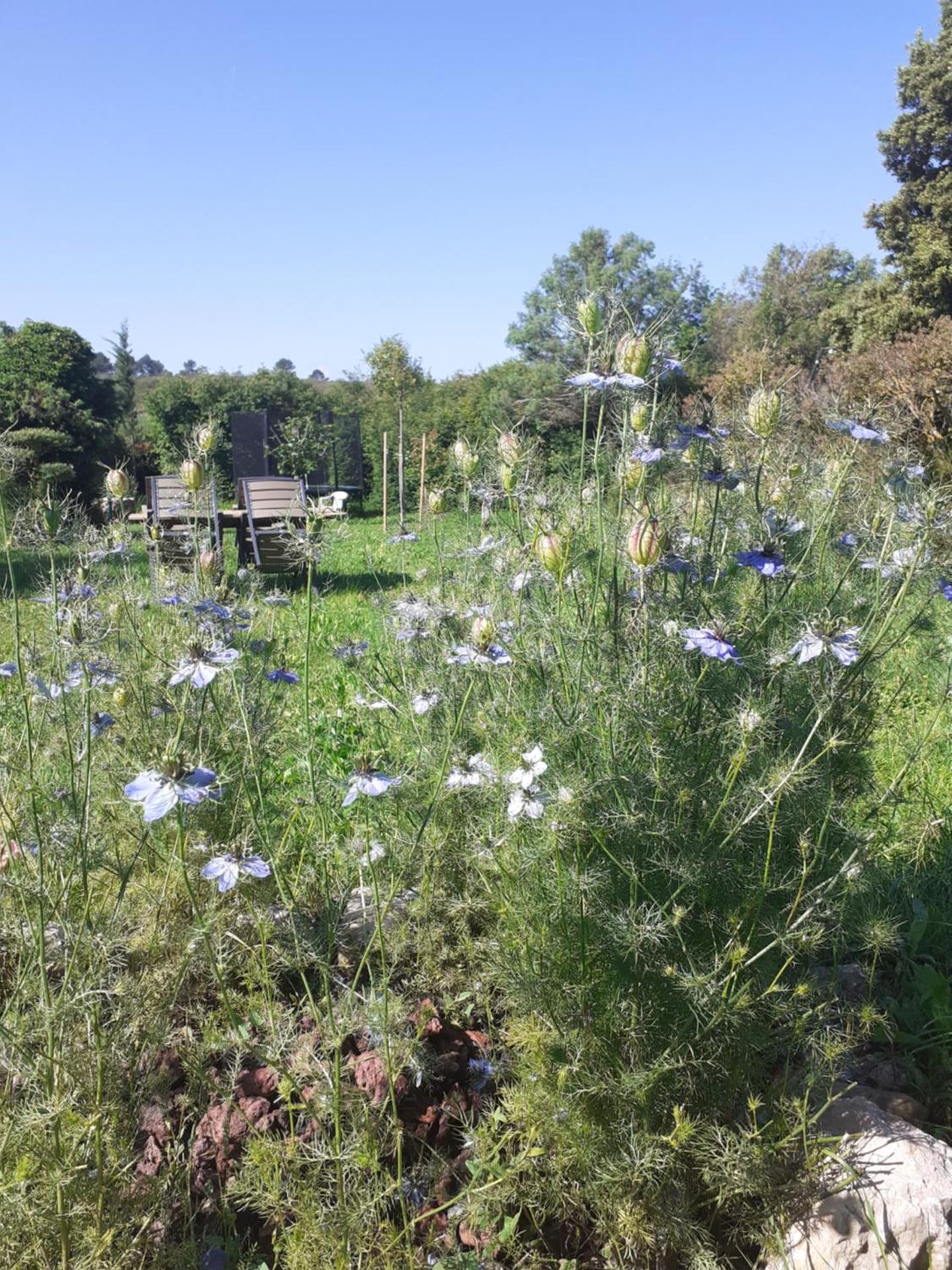Charmante maison atypique