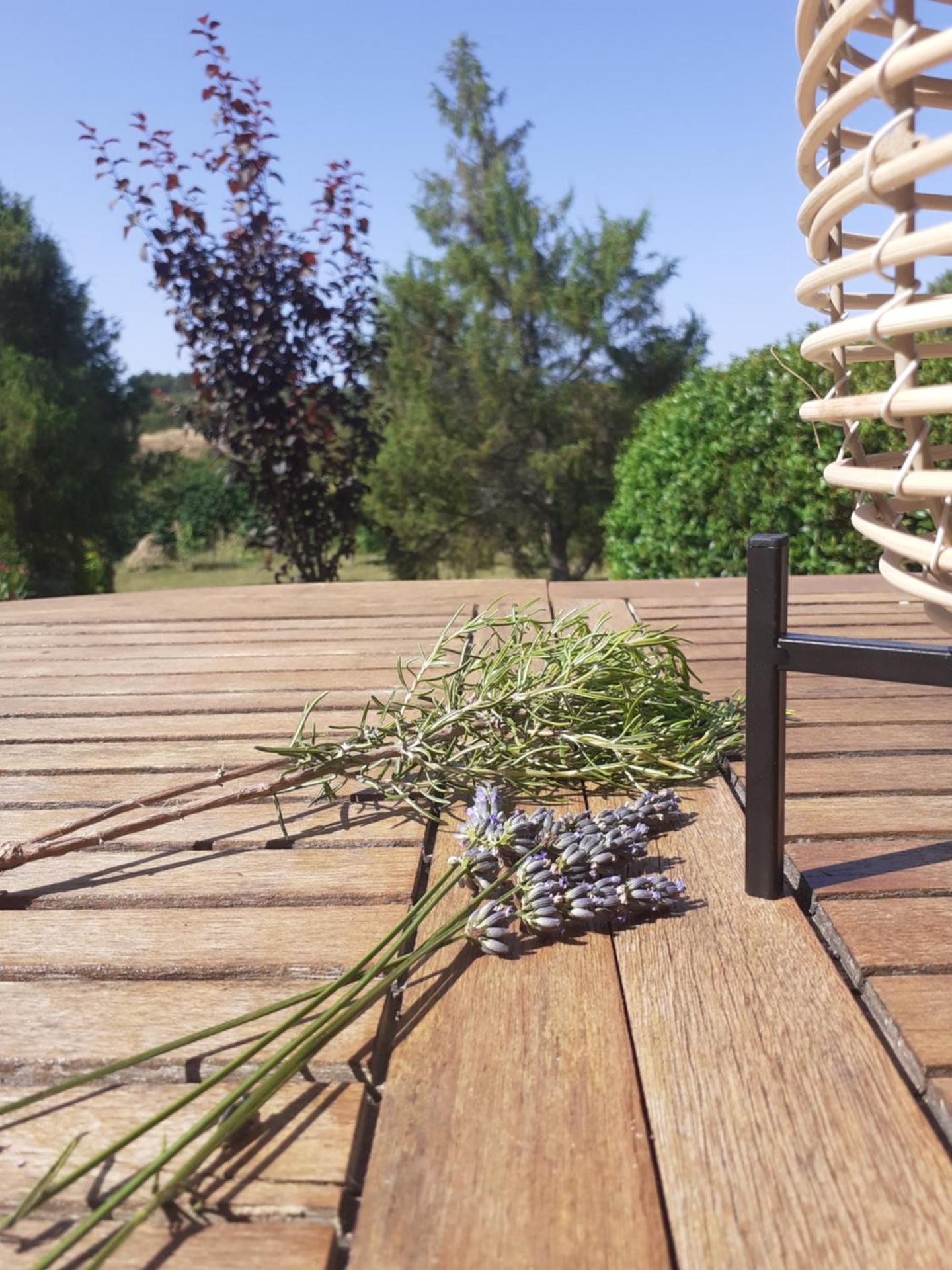 Charmante maison atypique