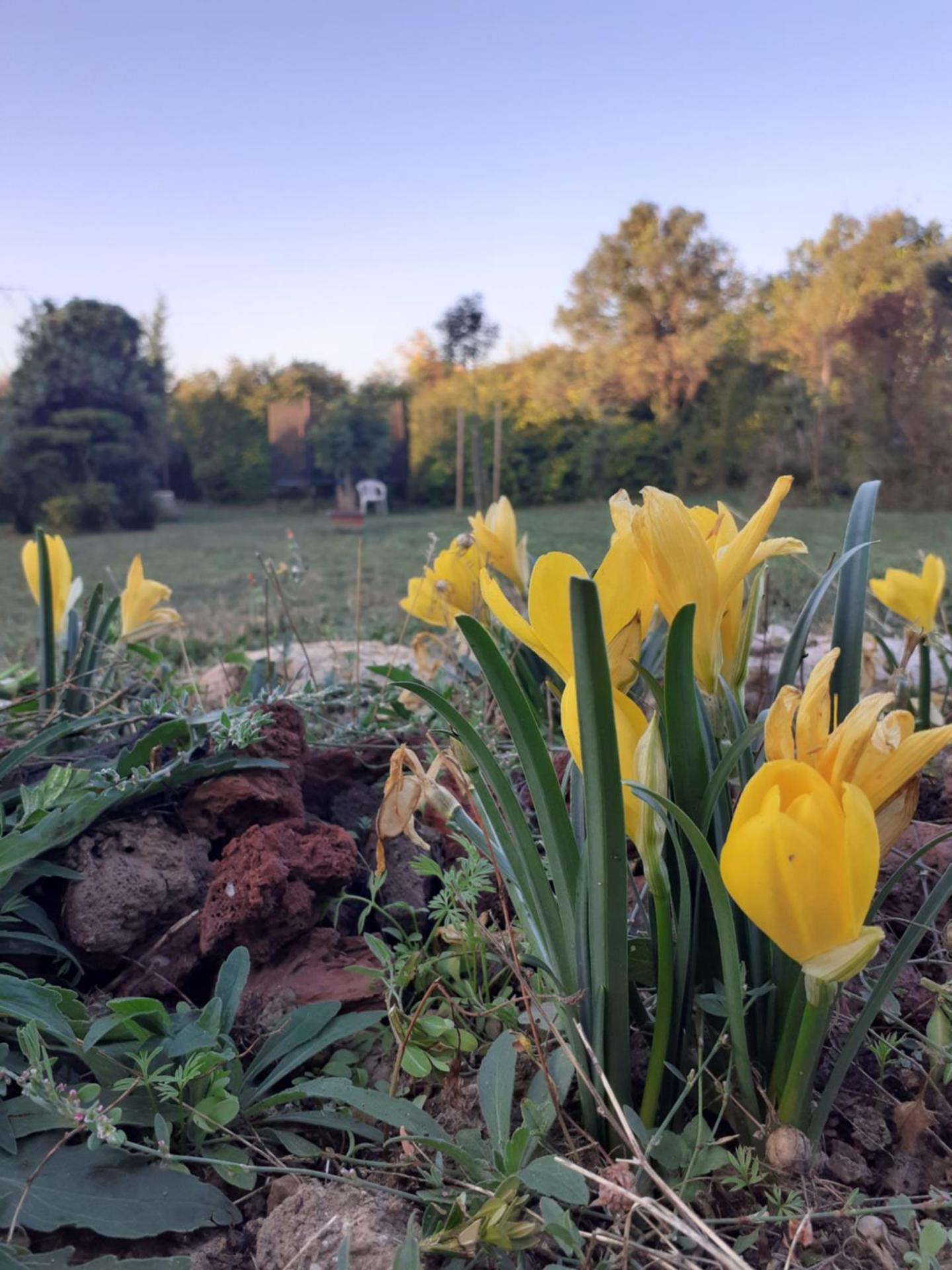 Charmante maison atypique