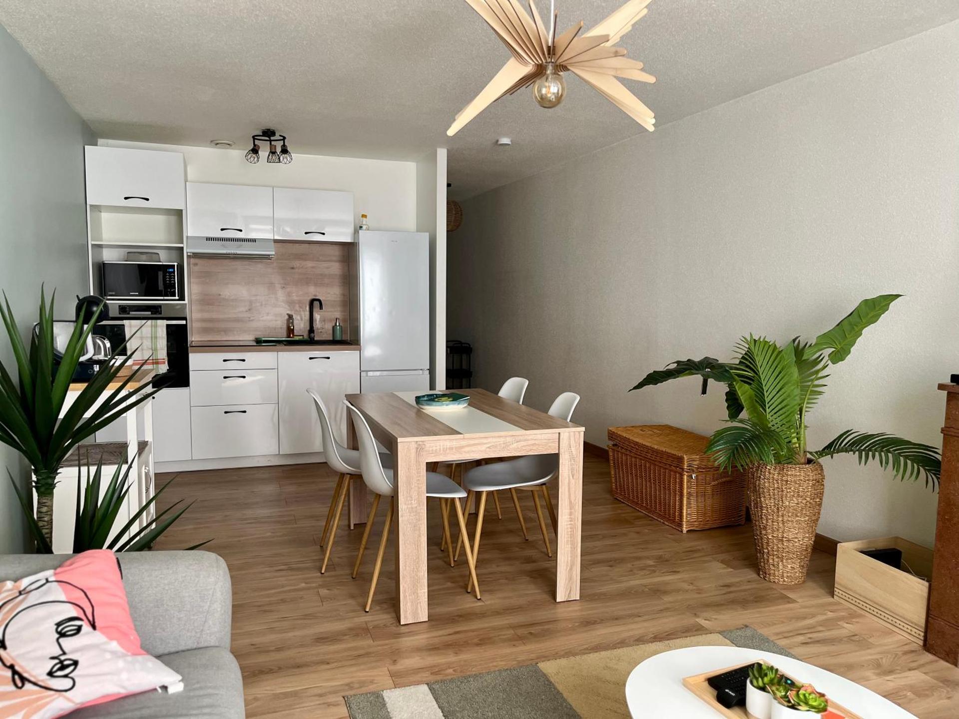 Confort & style dans ce joli appartement de 44 m2, chambre séparée, PLEIN CENTRE de Dole