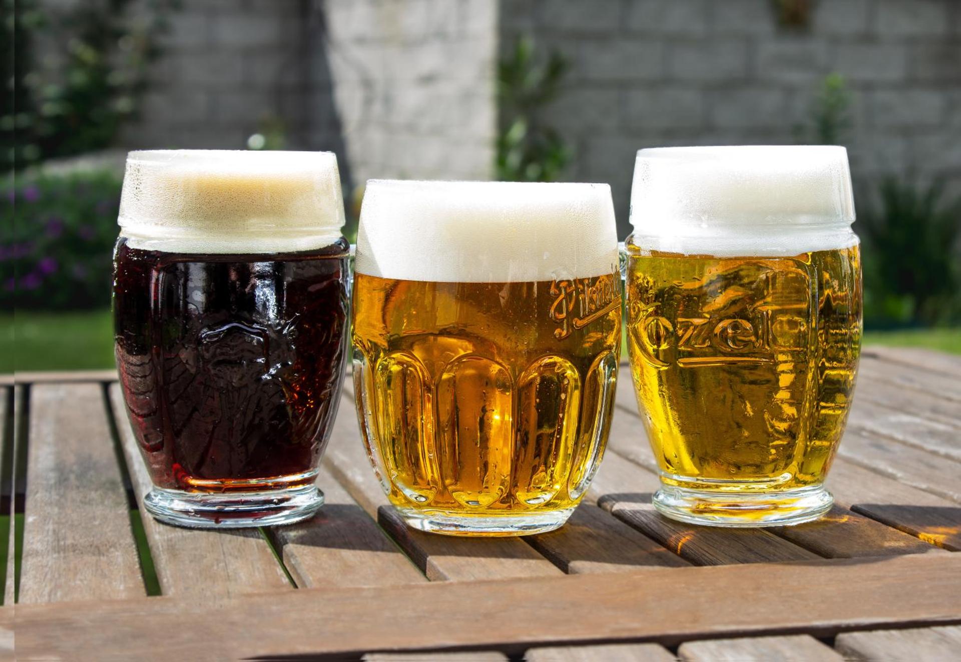 Hotel Rychta Netolice