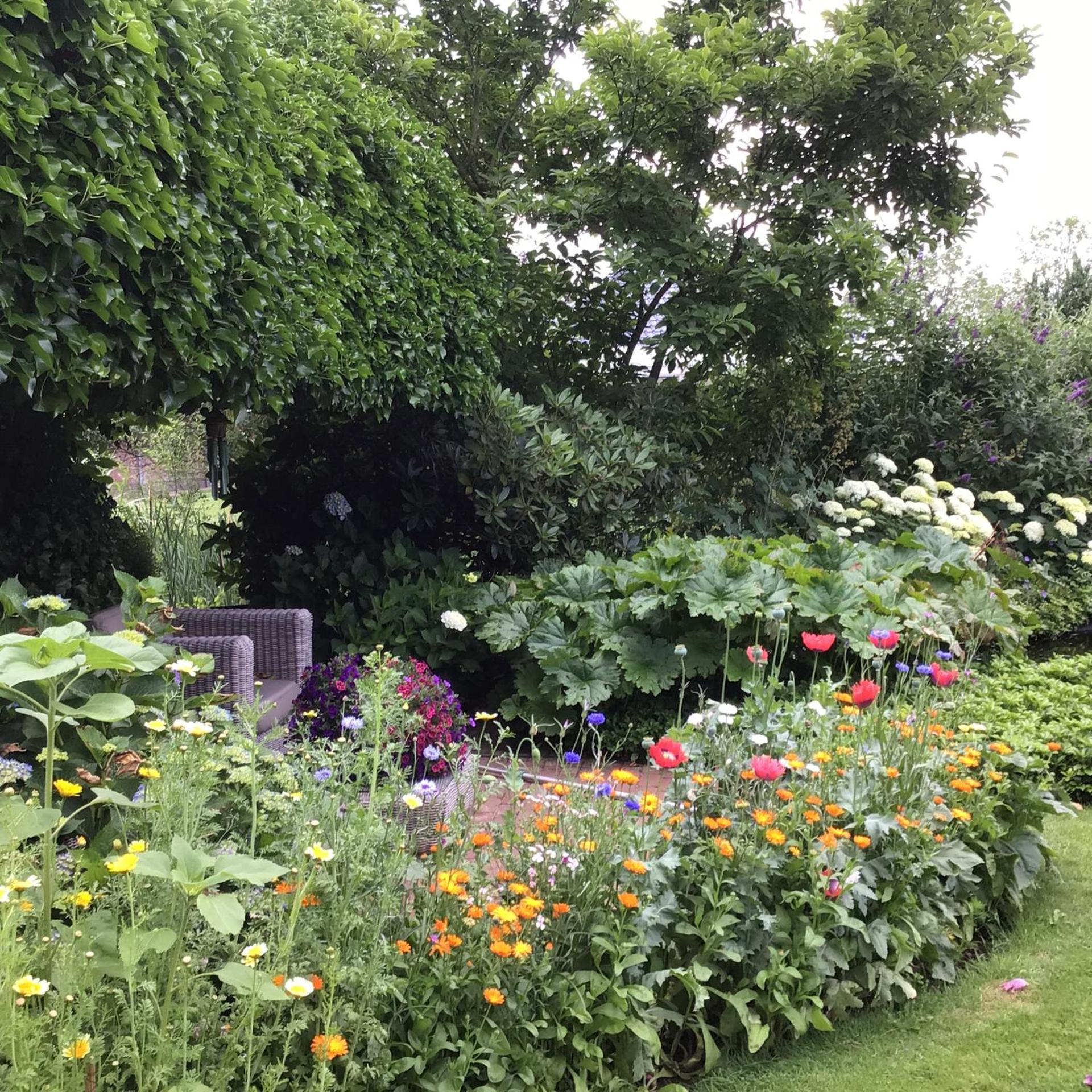 Appartement de Tuinkamer