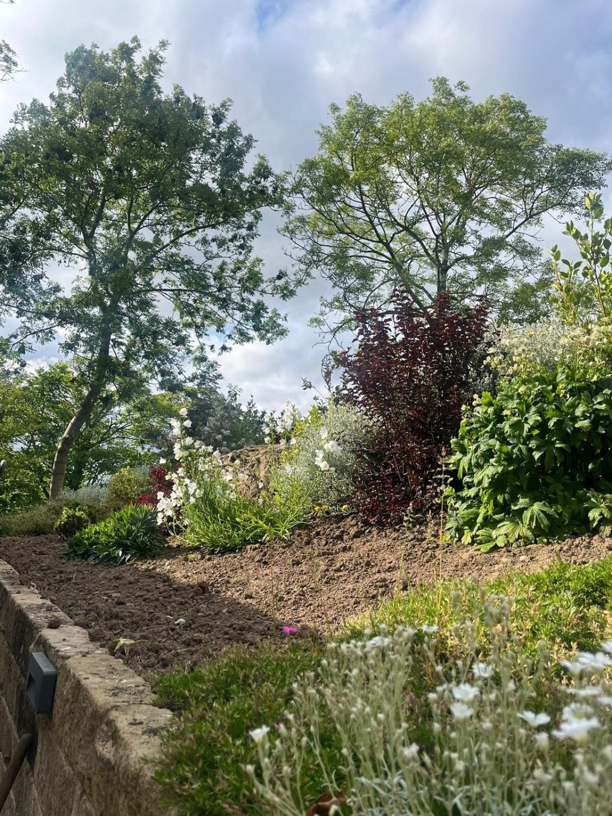 Woodside Shepherd Hut with free parking - Hawsker near whitby