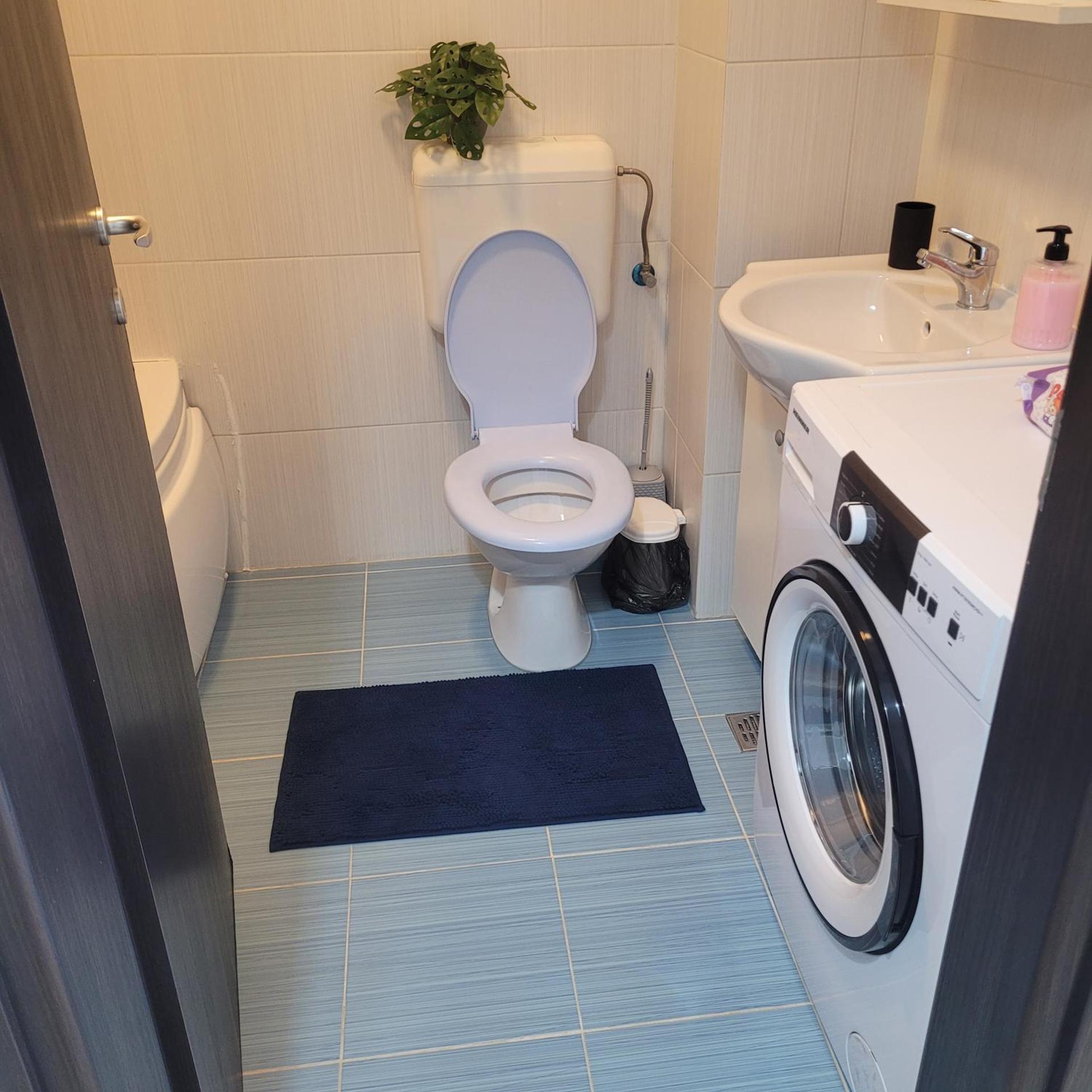 Garsoniera Spital Fundeni-Dragonul Rosu