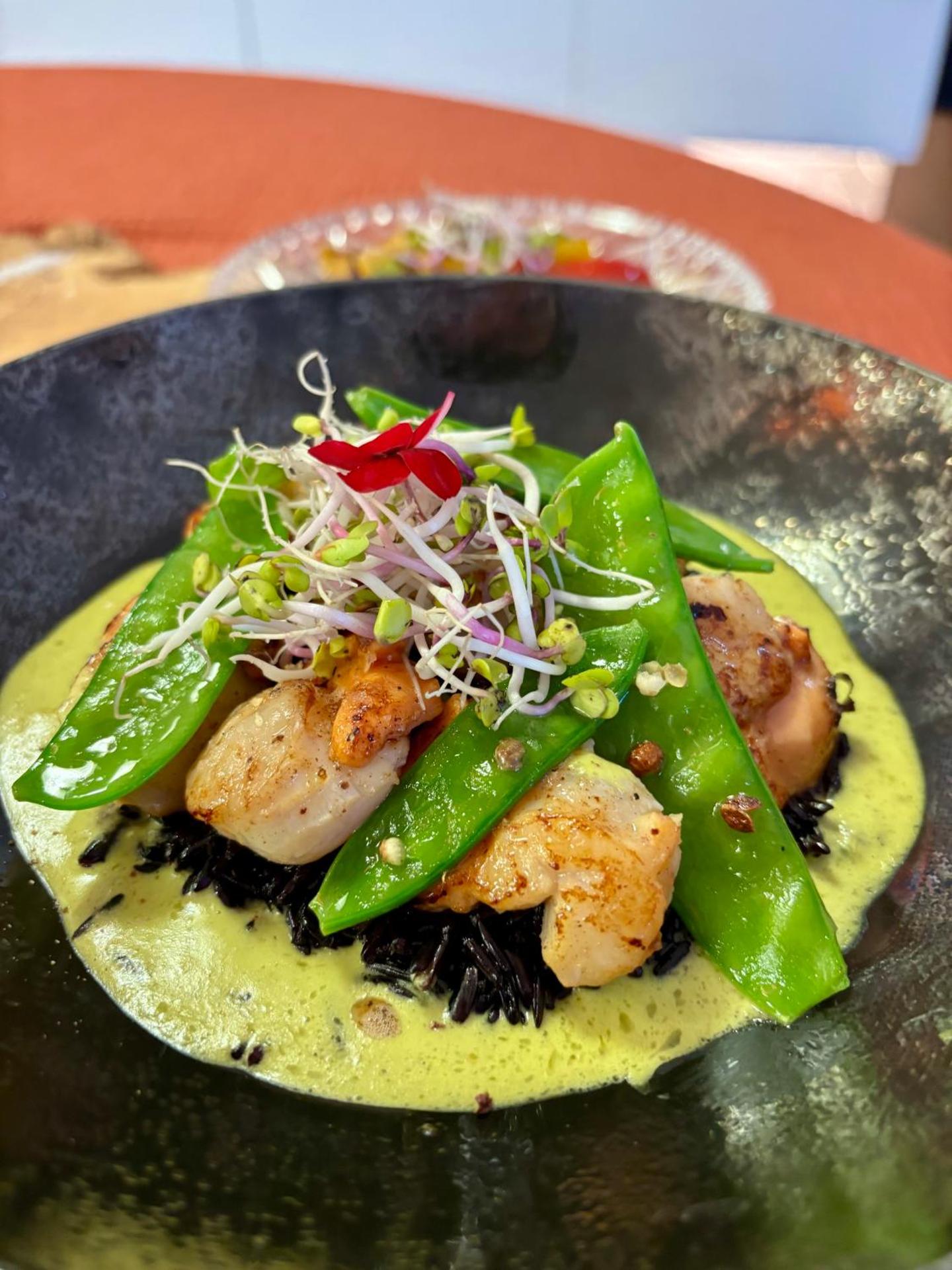 Restaurant/places to eat