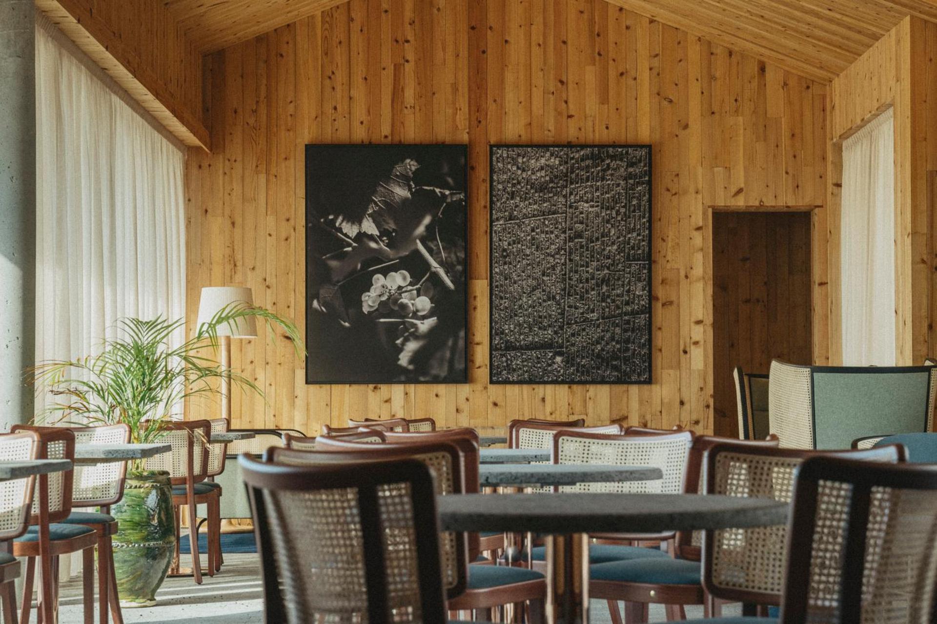 Pico Vineyards - by Unlock Hotels