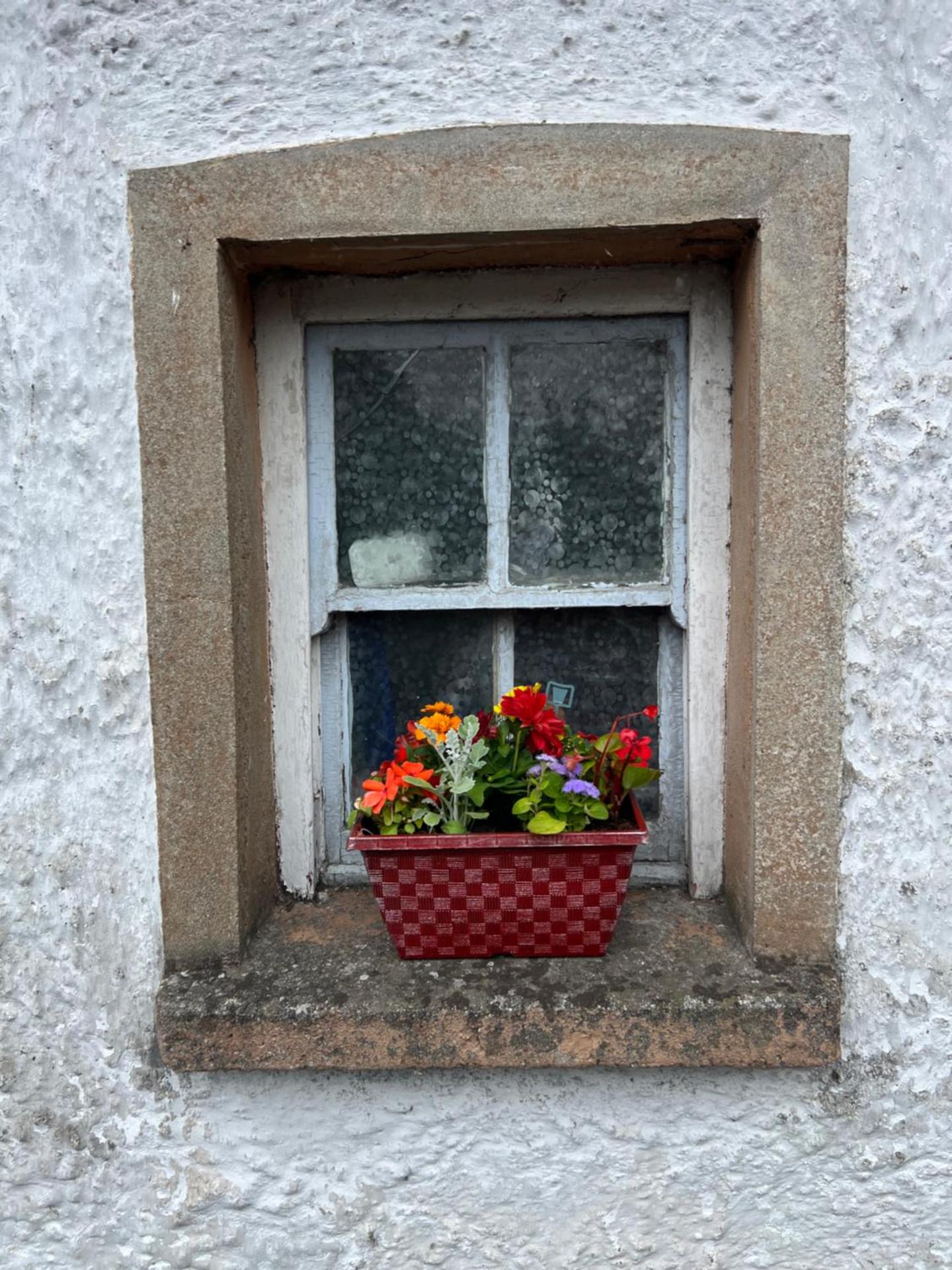 The Green Door Cottage