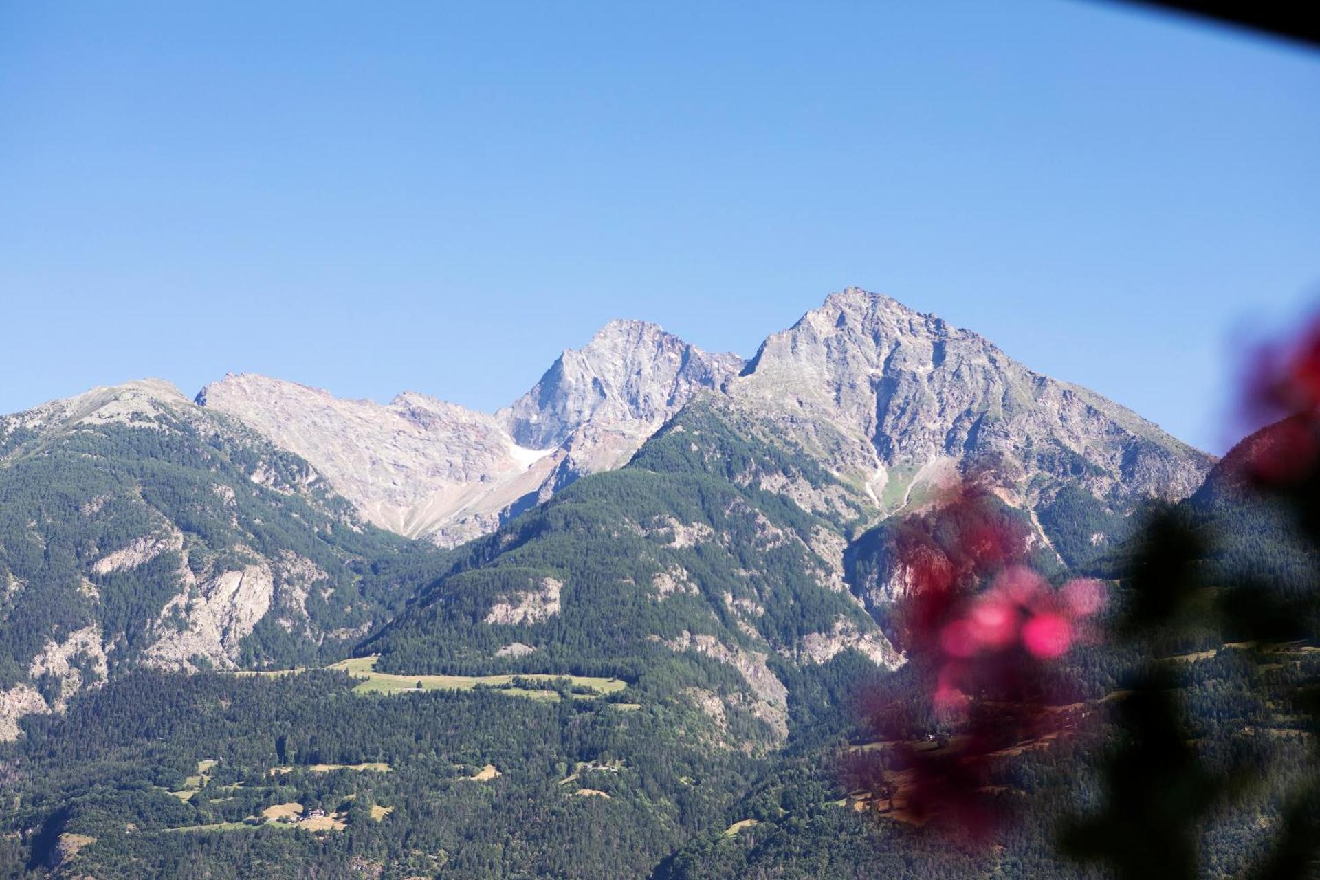 La Mèison de la Louye