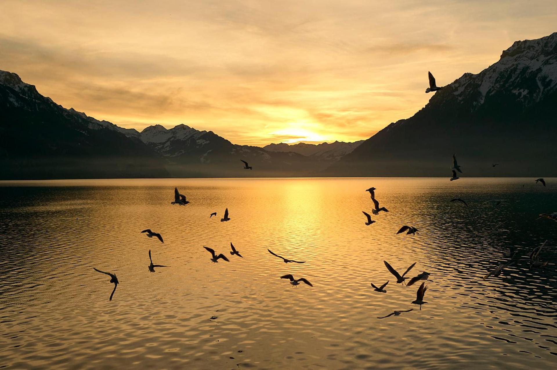 Abendrot - Direct lake view