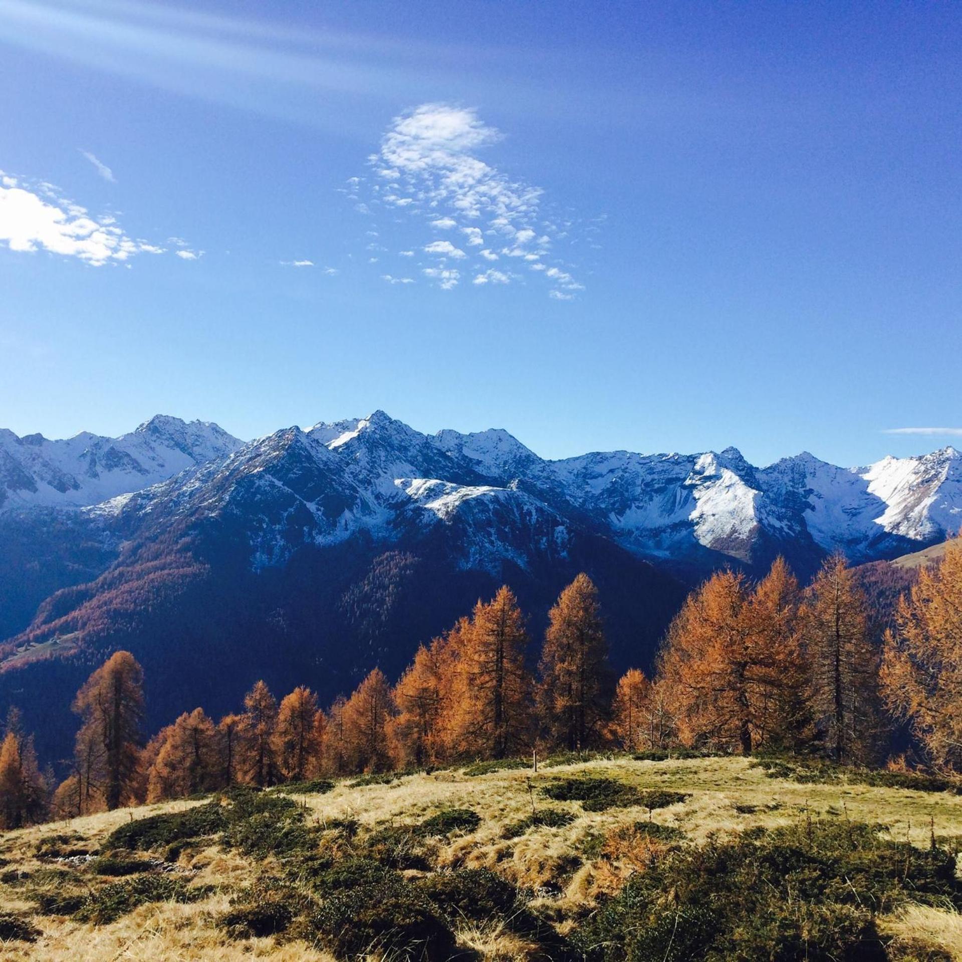 Agritur Maso Ciprianna B&B