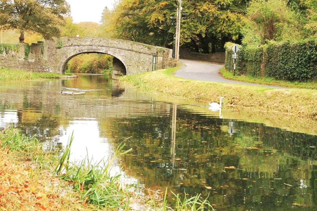 Ideal one bedroom appartment in Naas Oo Kildare