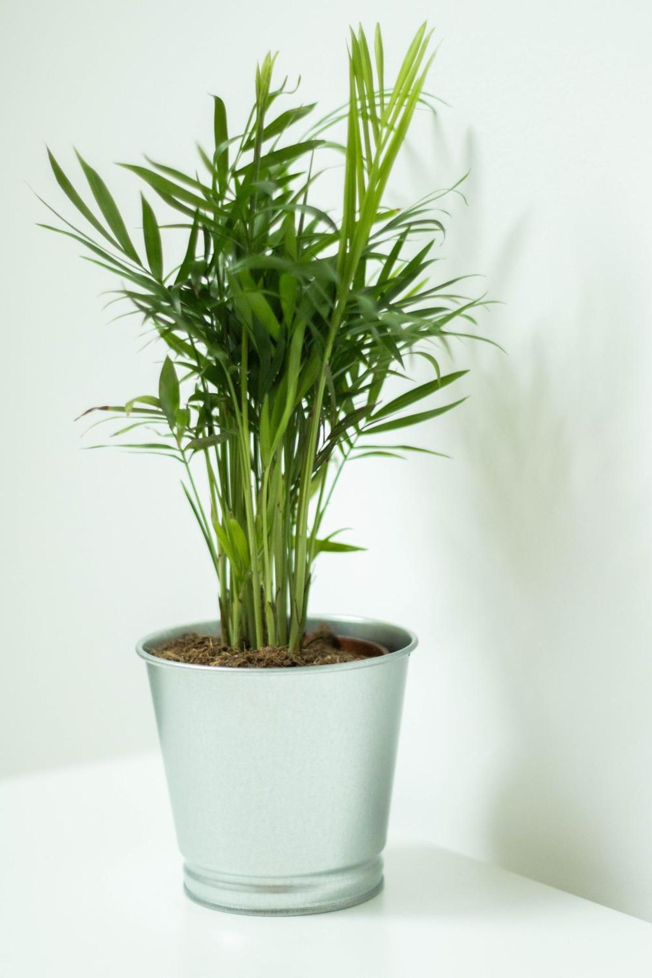 M&K - Vyspa Apartamenty