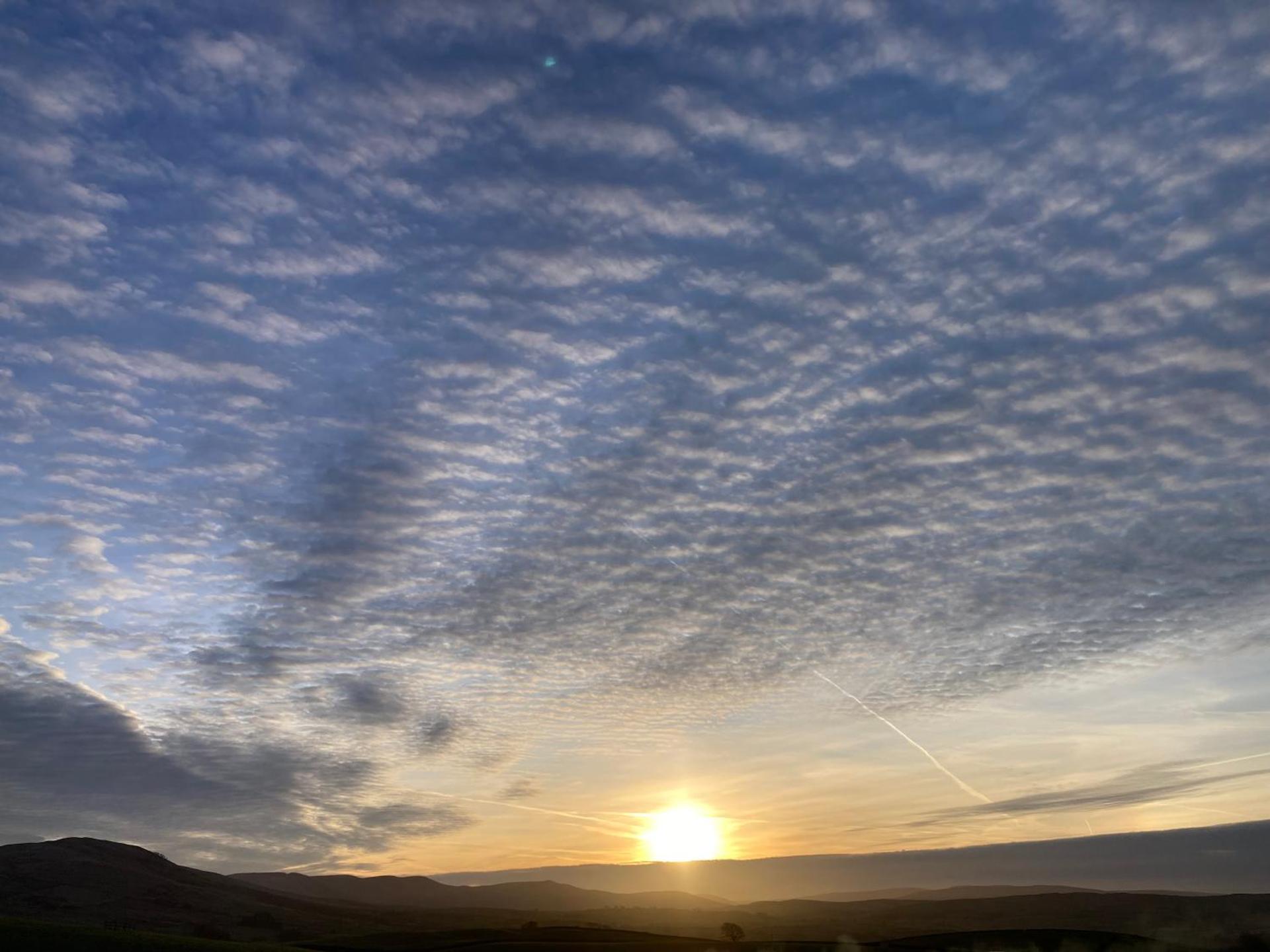 The Old Garage Apartments