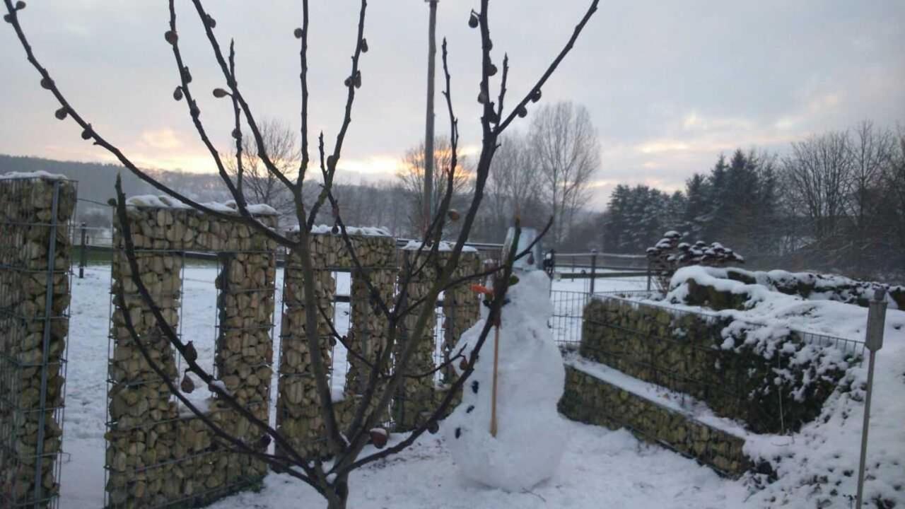 Ferienwohnung An der Königstraße