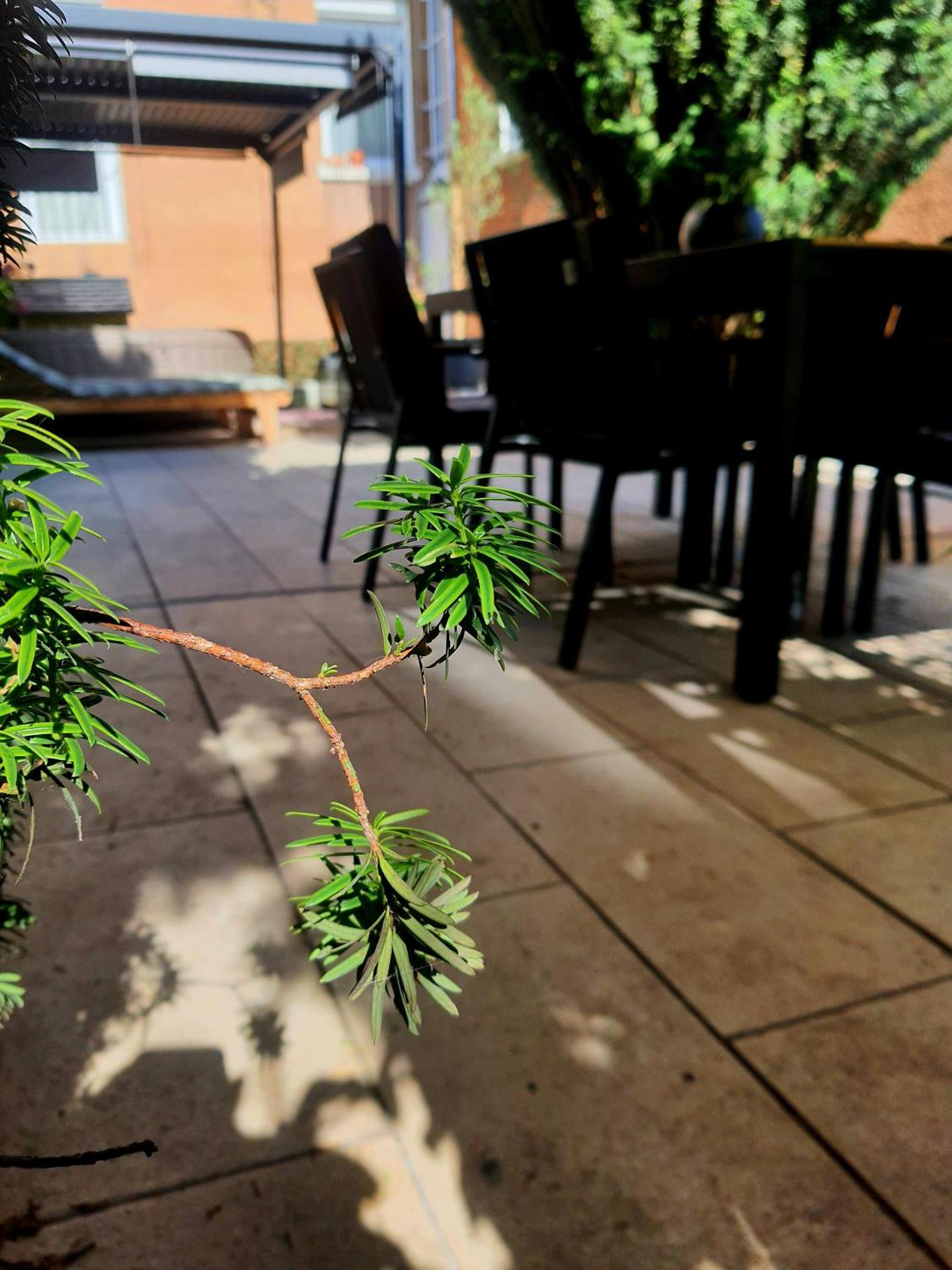 Hôte Stéphanois Studio & parking