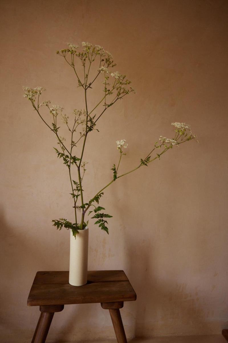 Double or Twin Room with Extra Bed