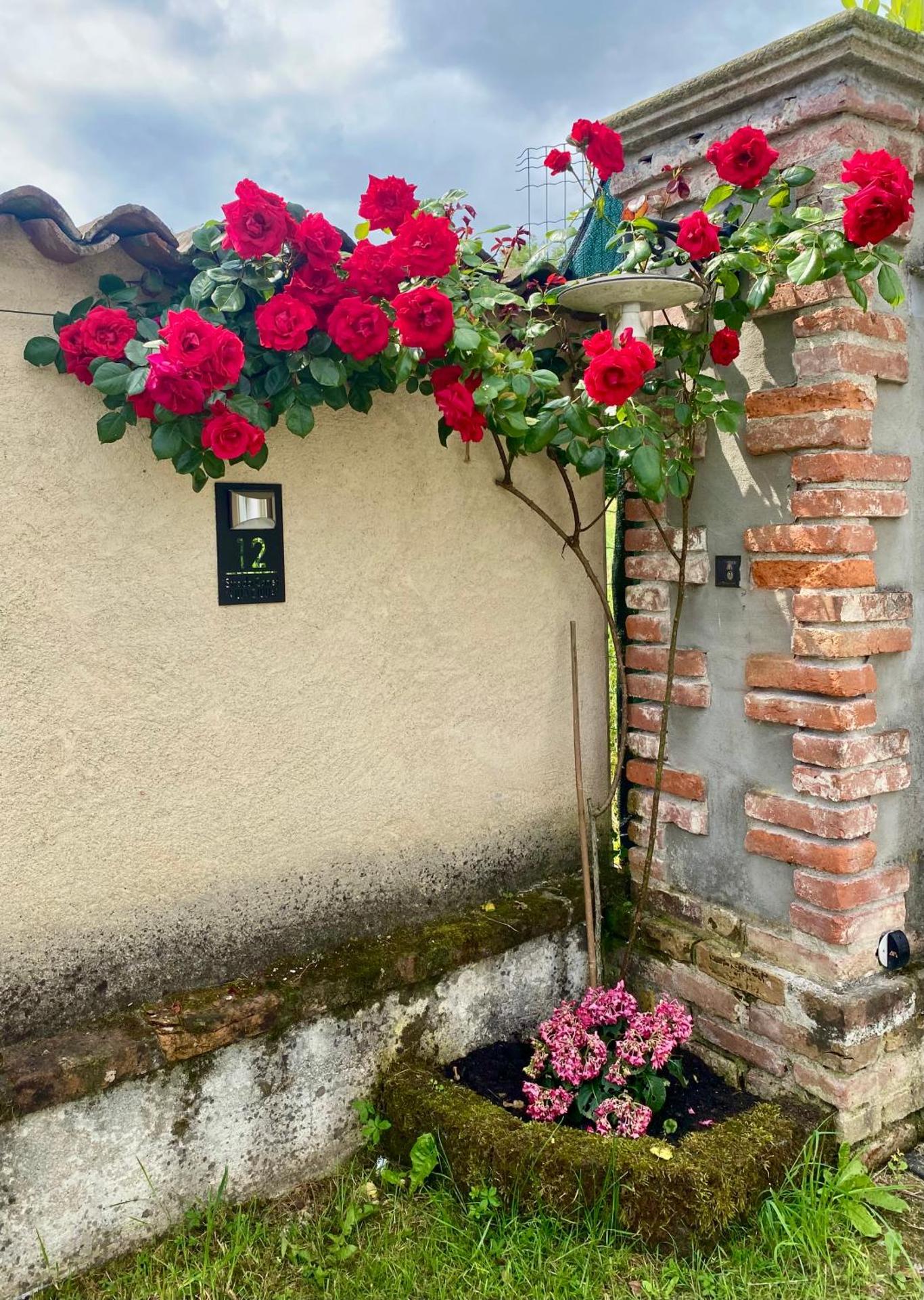 Villa Giulia - Marguareis