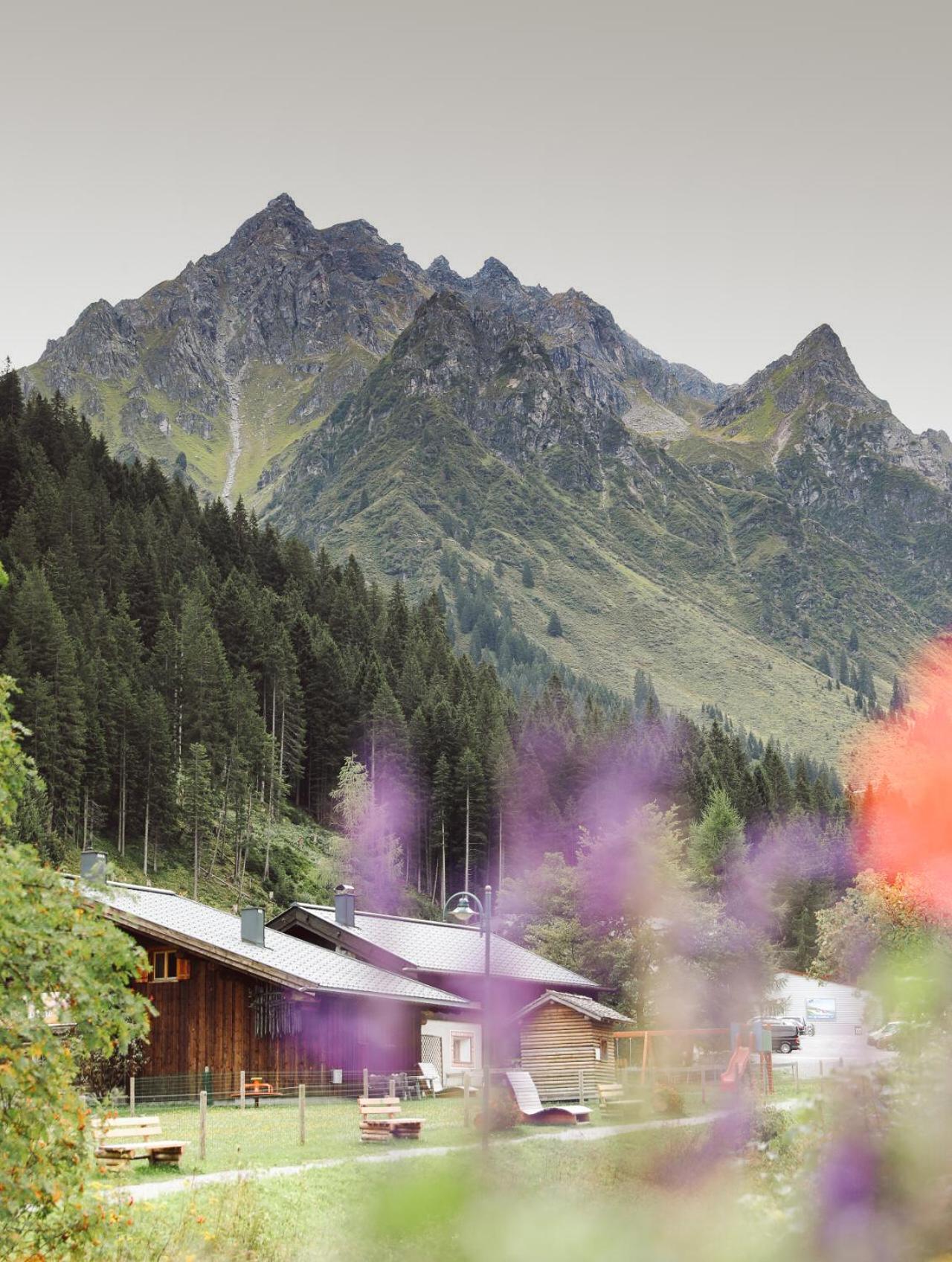 View (from property/room)