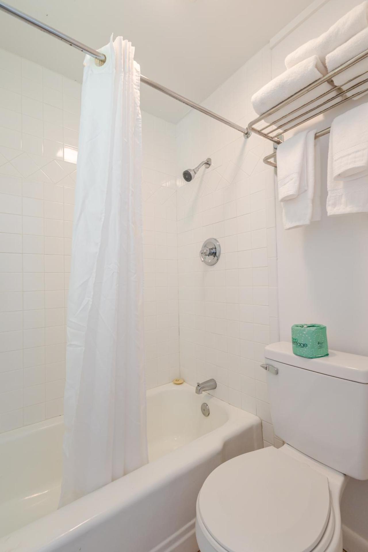 King Studio with Sofa Bed